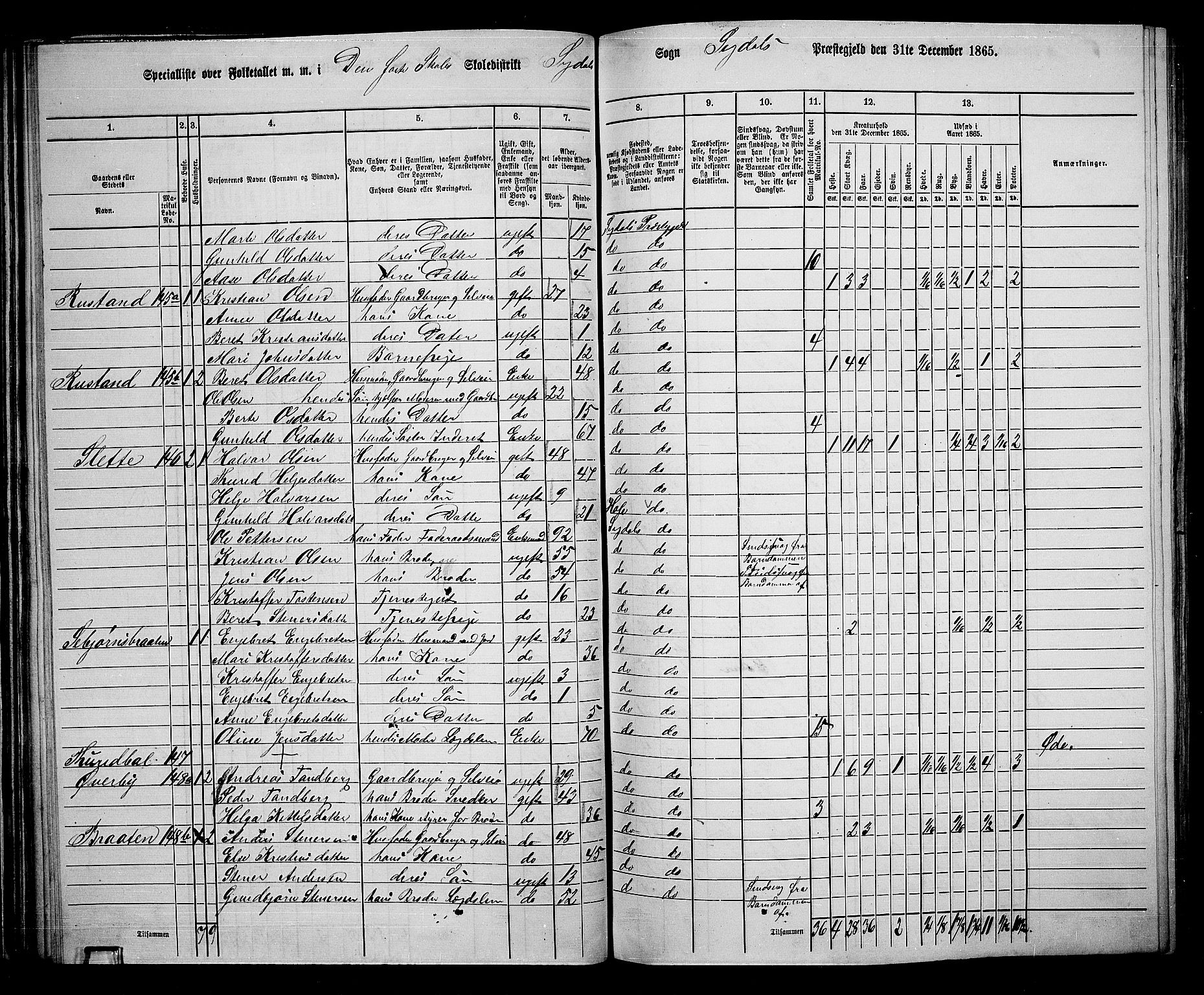 RA, 1865 census for Sigdal, 1865, p. 80