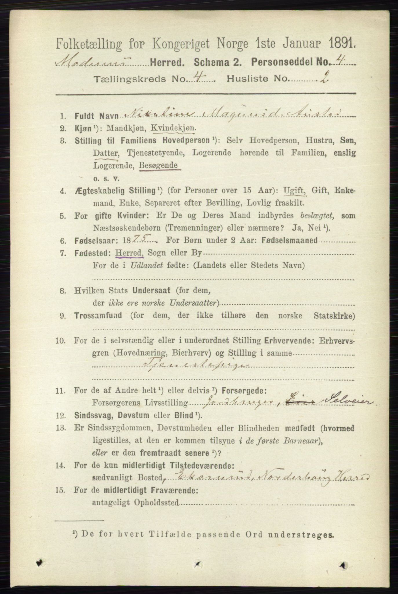 RA, 1891 census for 0623 Modum, 1891, p. 996