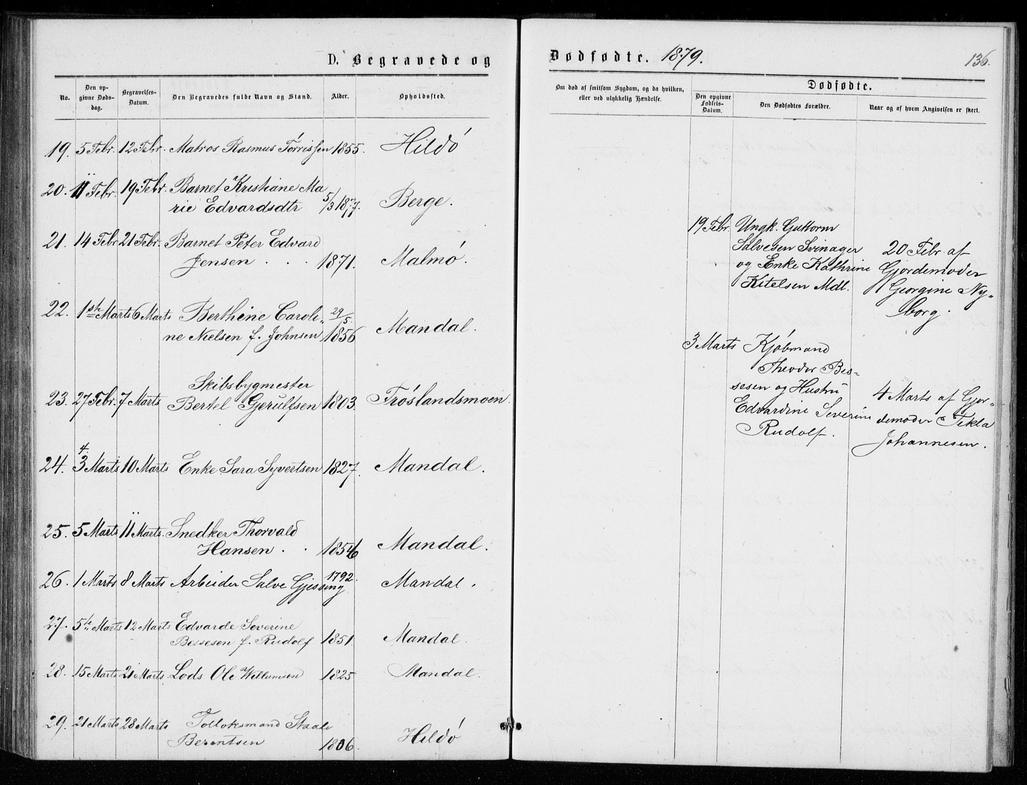 Mandal sokneprestkontor, AV/SAK-1111-0030/F/Fb/Fba/L0010: Parish register (copy) no. B 4, 1876-1880, p. 136