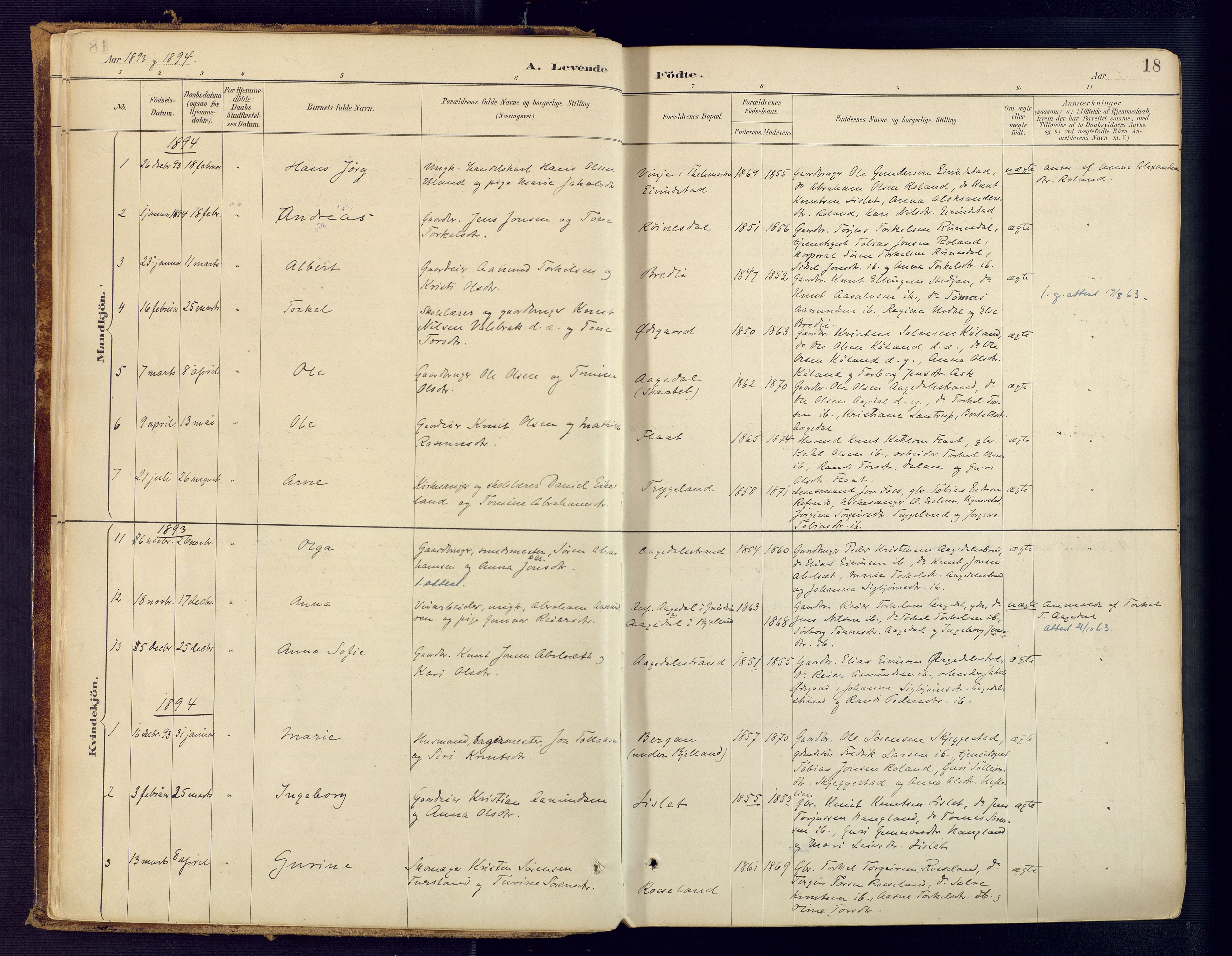 Bjelland sokneprestkontor, SAK/1111-0005/F/Fa/Faa/L0004: Parish register (official) no. A 4, 1887-1923, p. 18