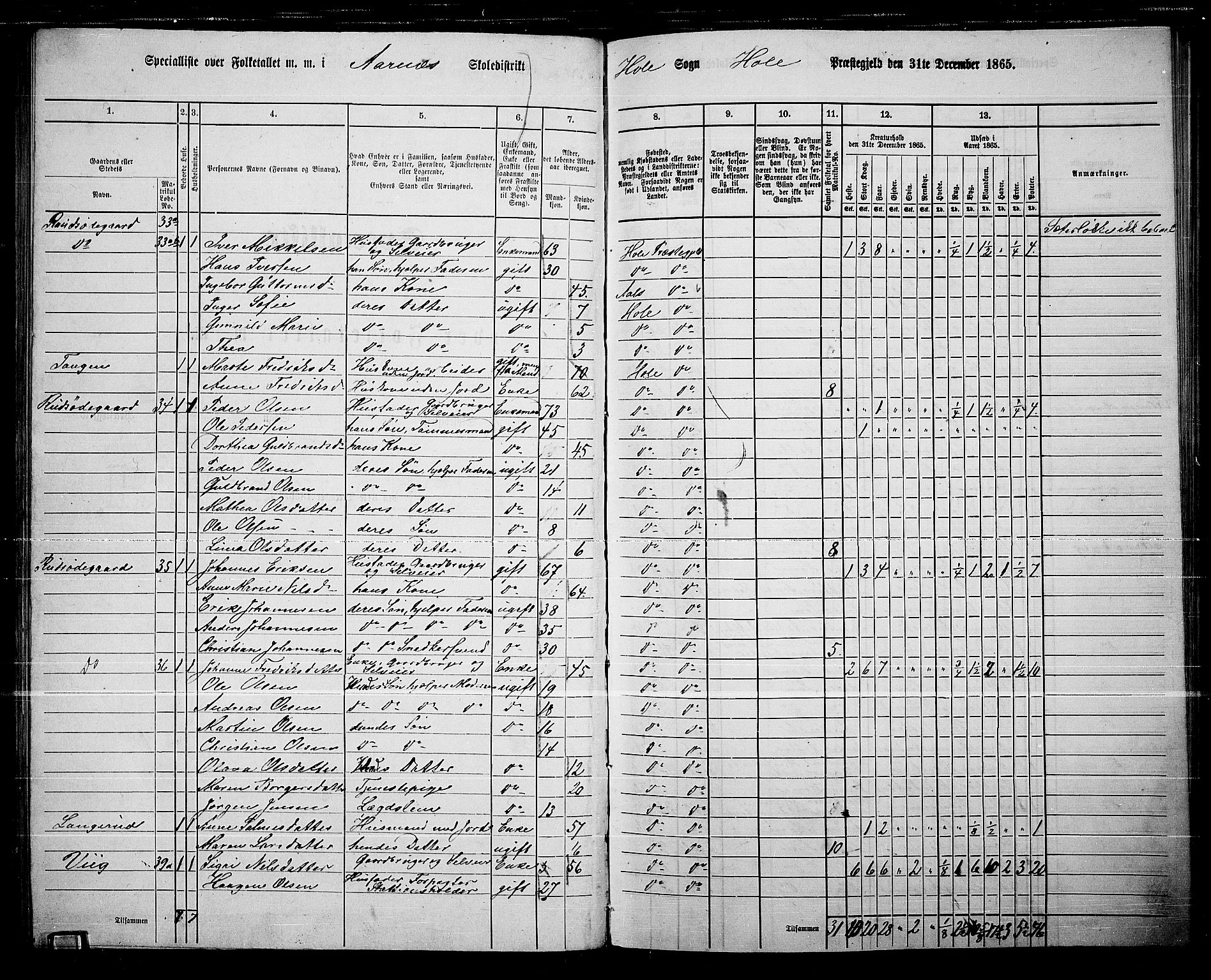 RA, 1865 census for Hole, 1865, p. 37