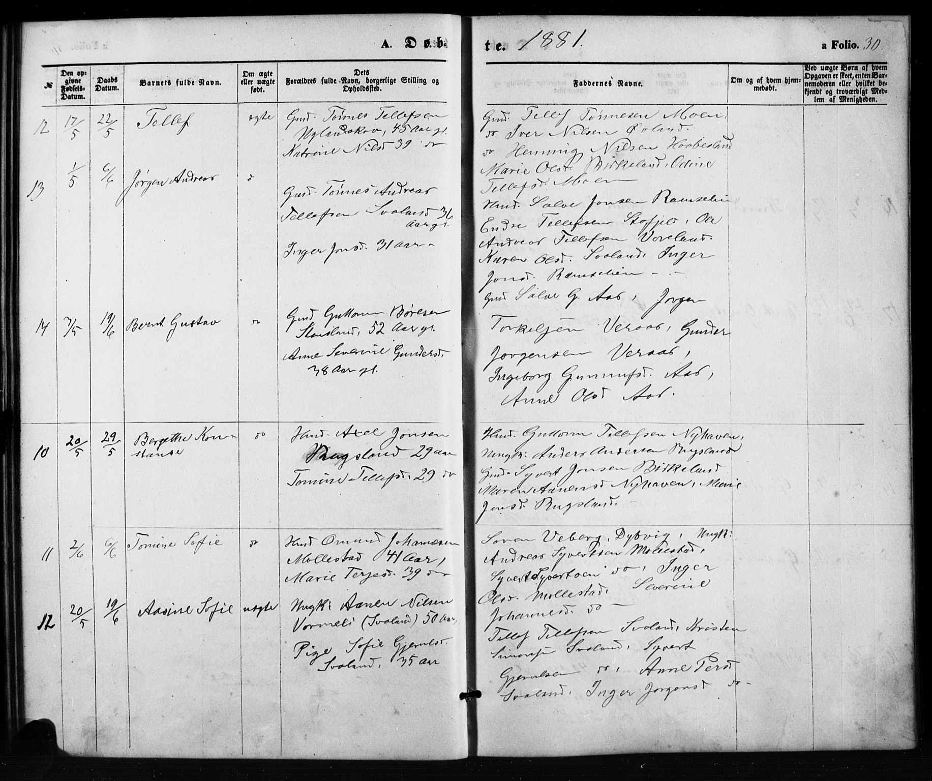 Birkenes sokneprestkontor, SAK/1111-0004/F/Fb/L0003: Parish register (copy) no. B 3, 1876-1892, p. 30