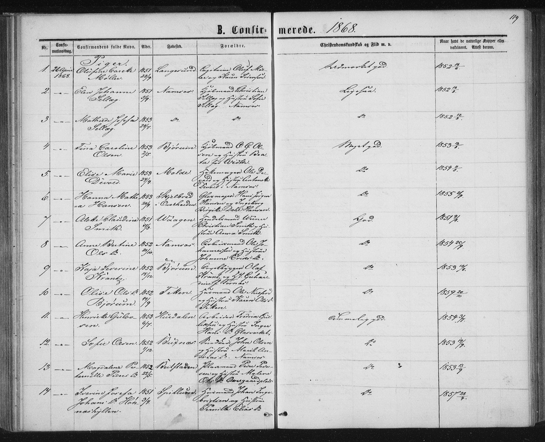 Ministerialprotokoller, klokkerbøker og fødselsregistre - Nord-Trøndelag, AV/SAT-A-1458/768/L0570: Parish register (official) no. 768A05, 1865-1874, p. 119