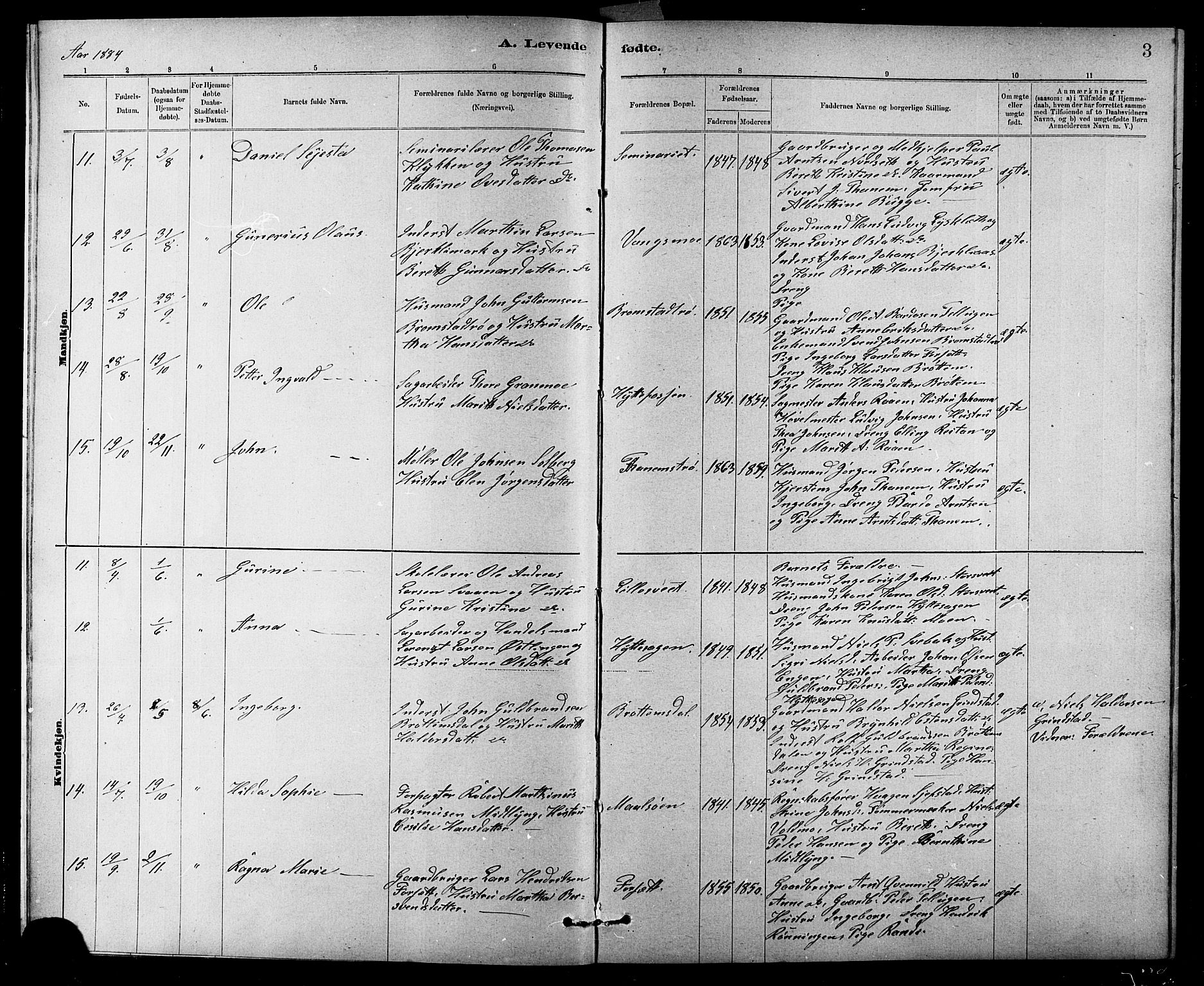 Ministerialprotokoller, klokkerbøker og fødselsregistre - Sør-Trøndelag, SAT/A-1456/618/L0452: Parish register (copy) no. 618C03, 1884-1906, p. 3