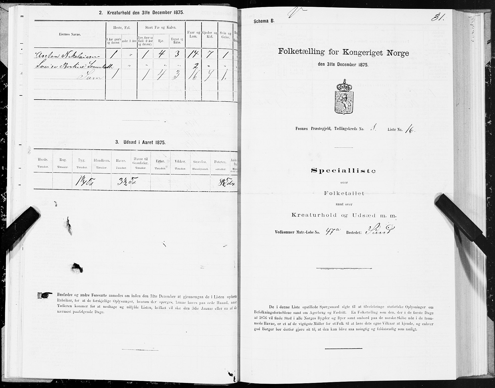 SAT, 1875 census for 1748P Fosnes, 1875, p. 3031