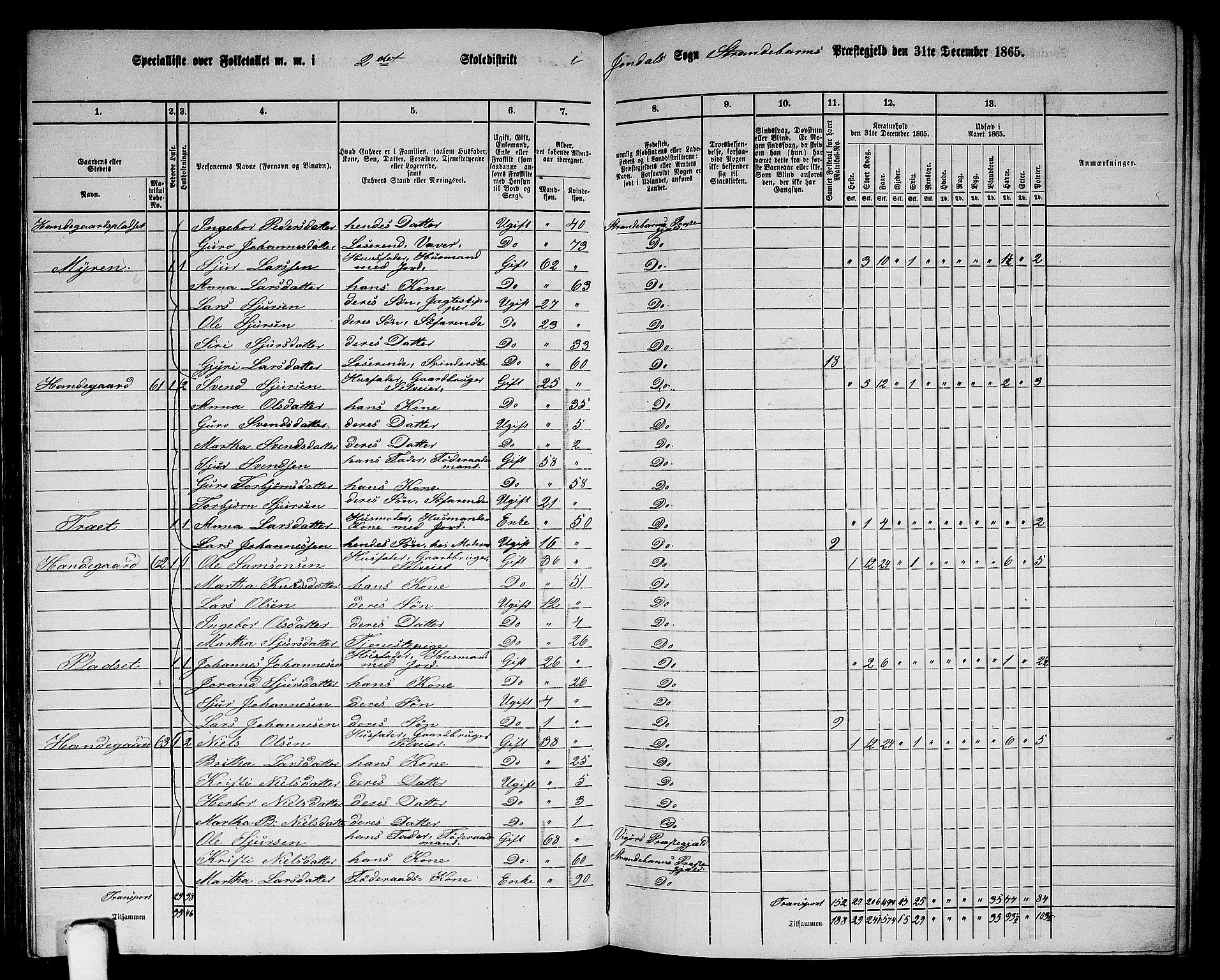 RA, 1865 census for Strandebarm, 1865, p. 110