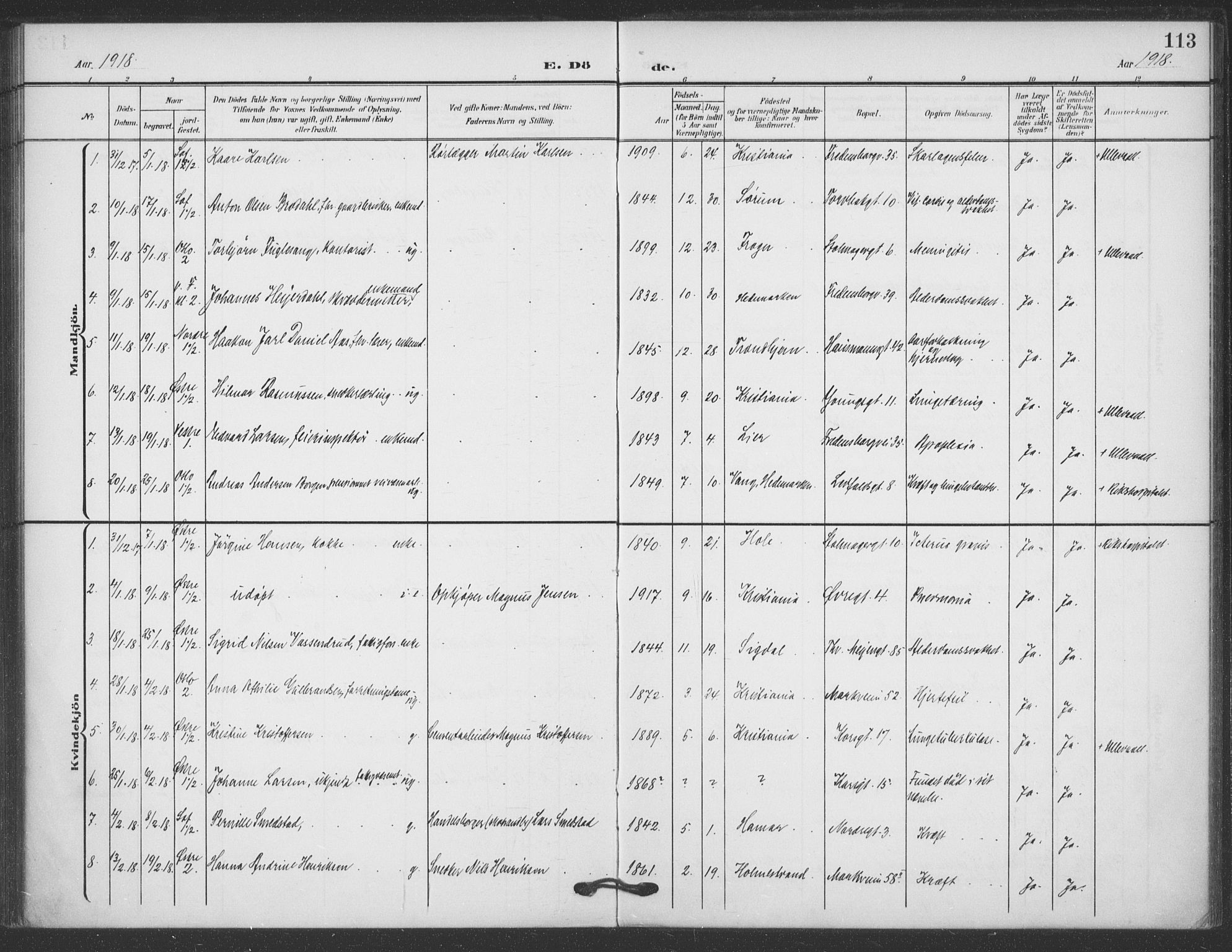 Jakob prestekontor Kirkebøker, SAO/A-10850/F/Fa/L0011: Parish register (official) no. 11, 1906-1920, p. 113