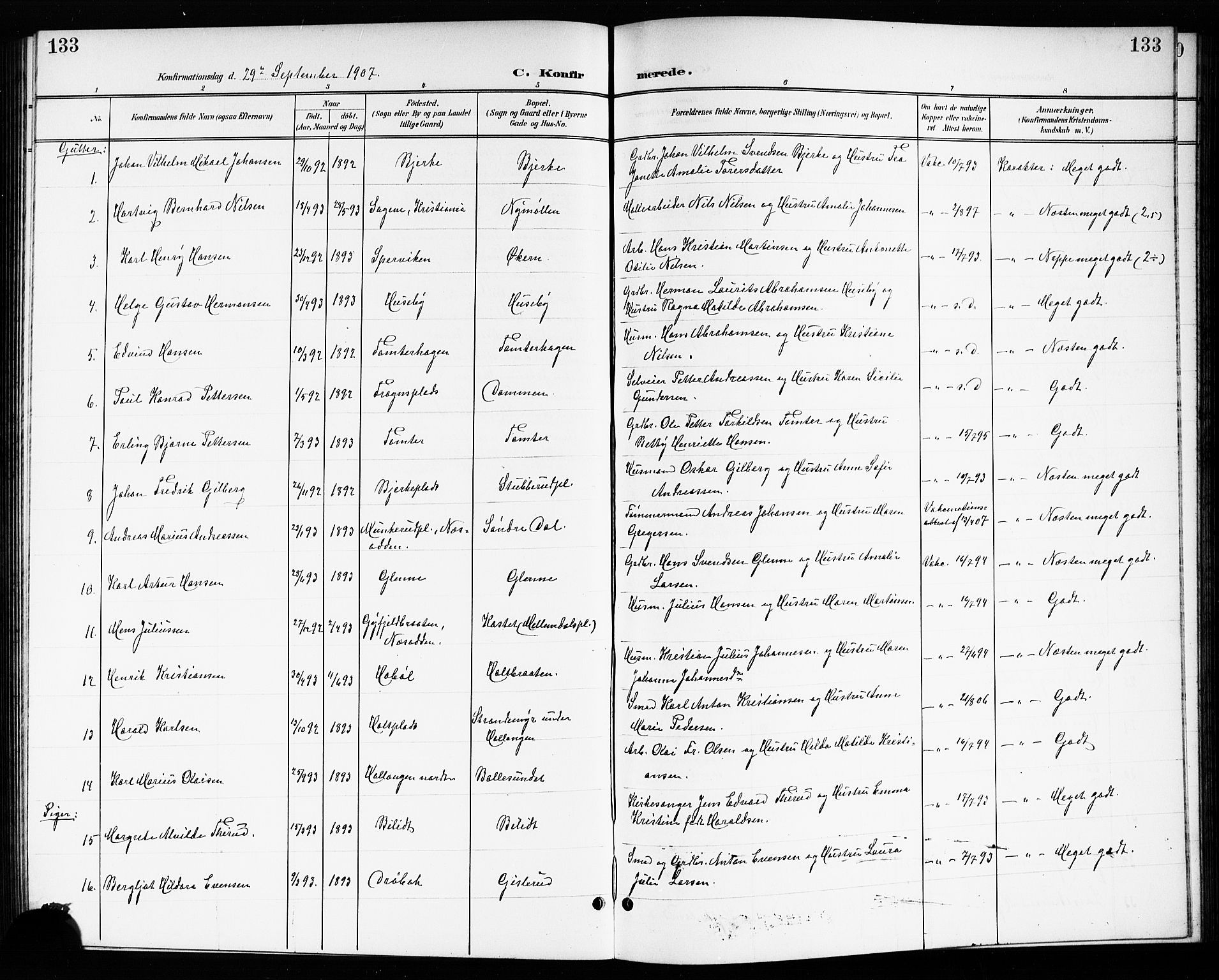 Drøbak prestekontor Kirkebøker, SAO/A-10142a/G/Gb/L0001: Parish register (copy) no. II 1, 1901-1919, p. 133