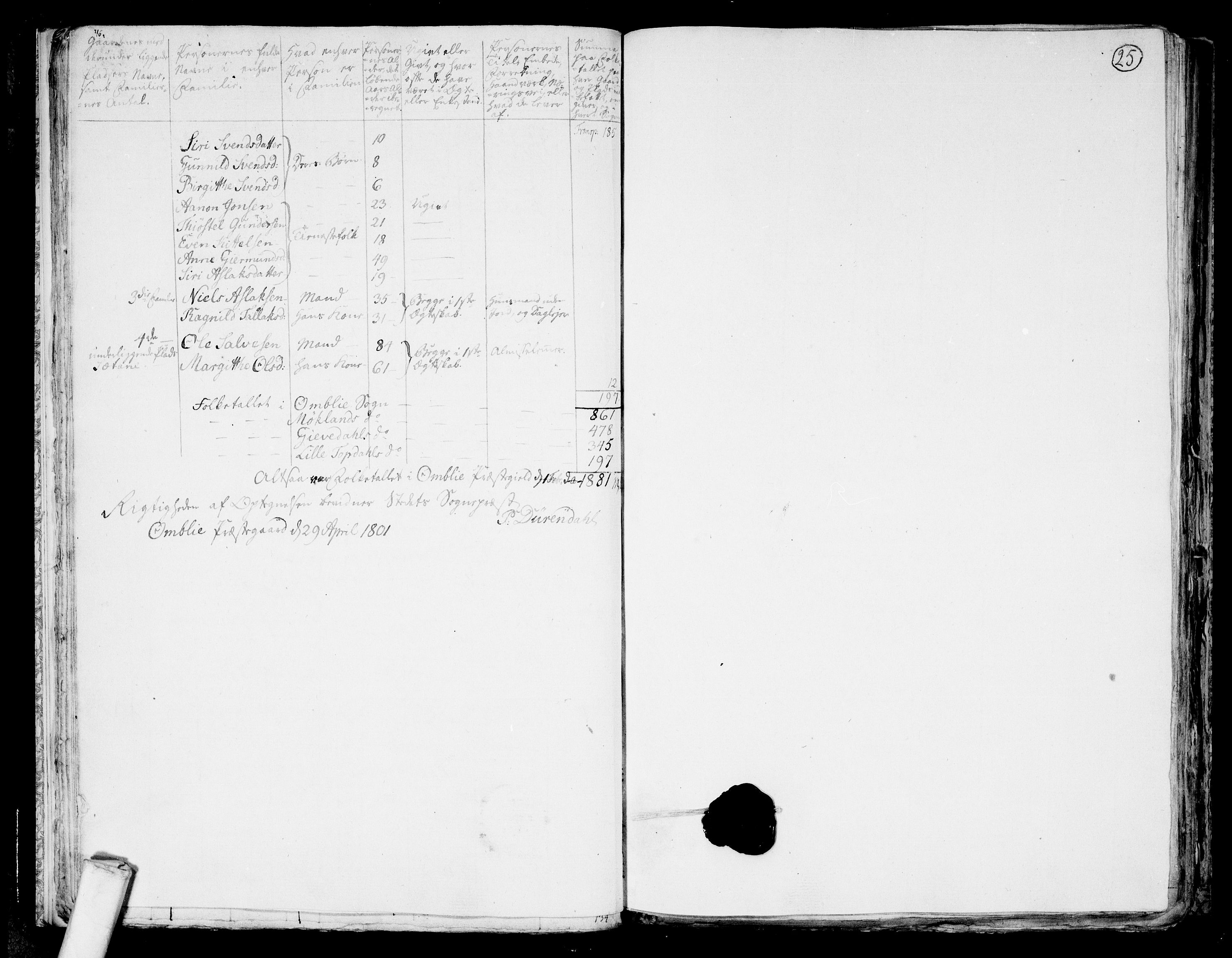 RA, 1801 census for 0929P Åmli, 1801, p. 24b-25a