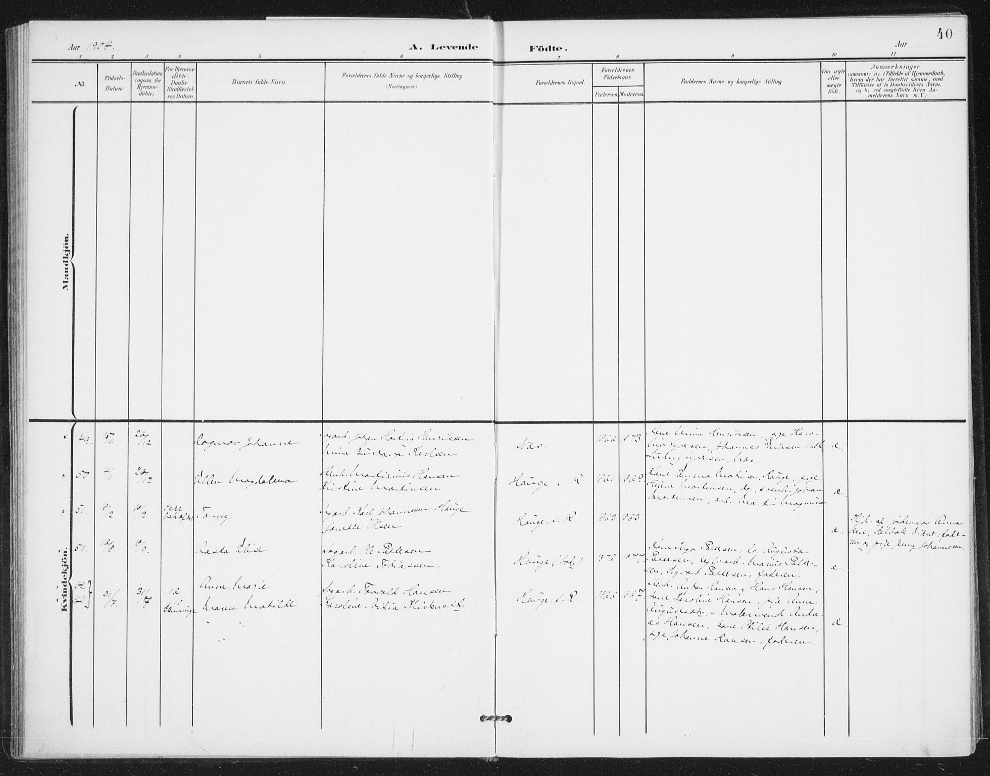 Rolvsøy prestekontor Kirkebøker, AV/SAO-A-2004/F/Fa/L0001: Parish register (official) no. 1, 1901-1909, p. 40