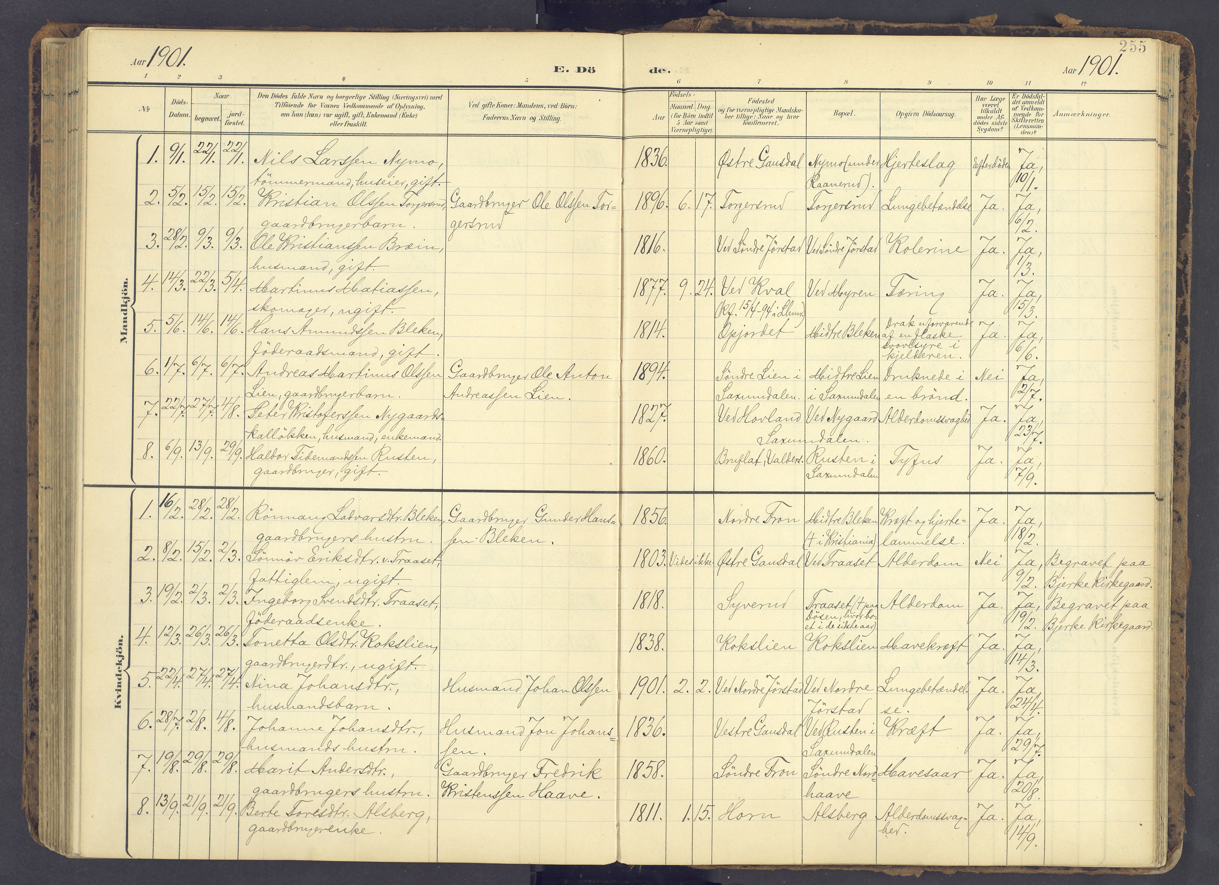 Fåberg prestekontor, AV/SAH-PREST-086/H/Ha/Haa/L0012: Parish register (official) no. 12, 1899-1915, p. 255