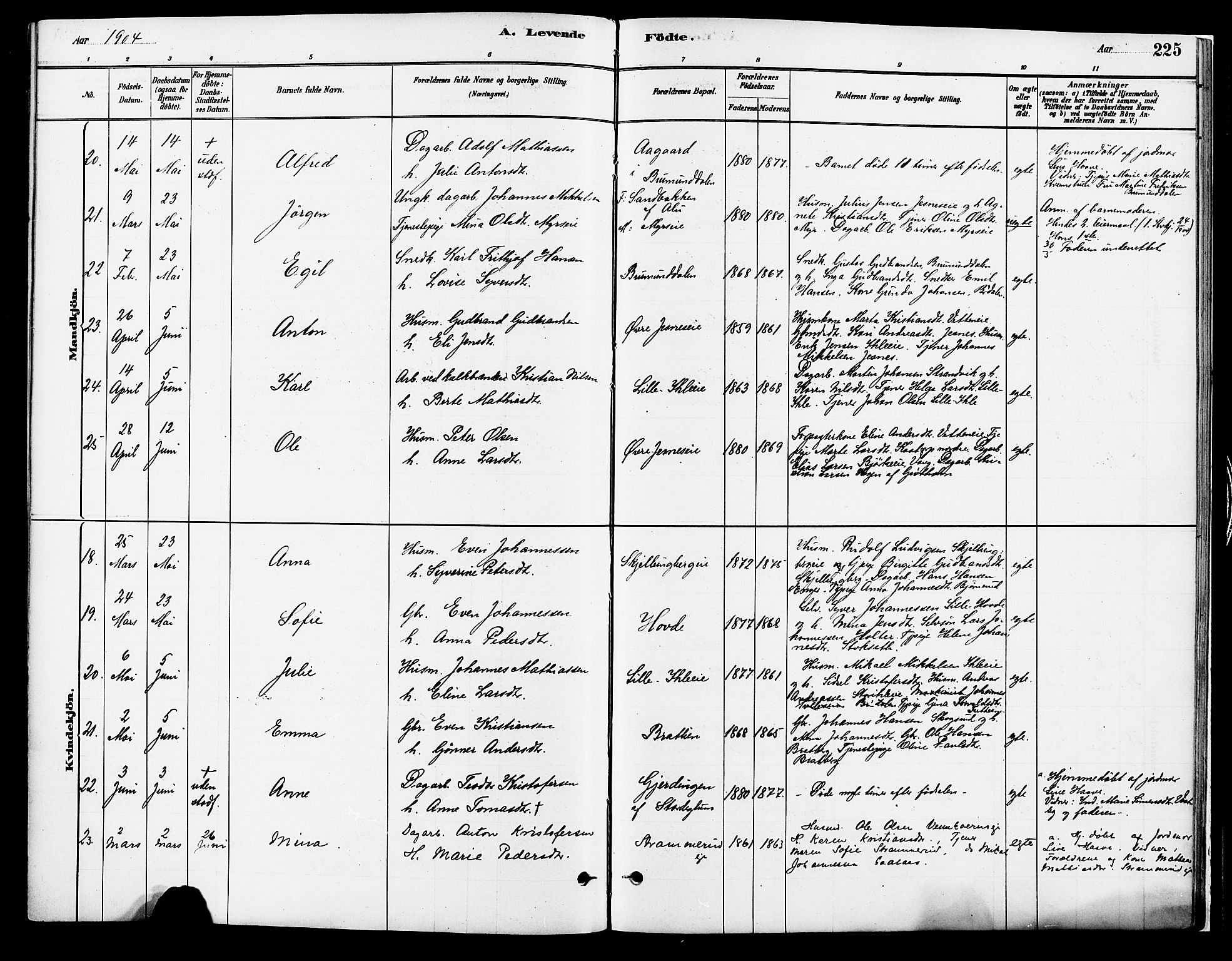 Vang prestekontor, Hedmark, SAH/PREST-008/H/Ha/Haa/L0018A: Parish register (official) no. 18A, 1880-1906, p. 225