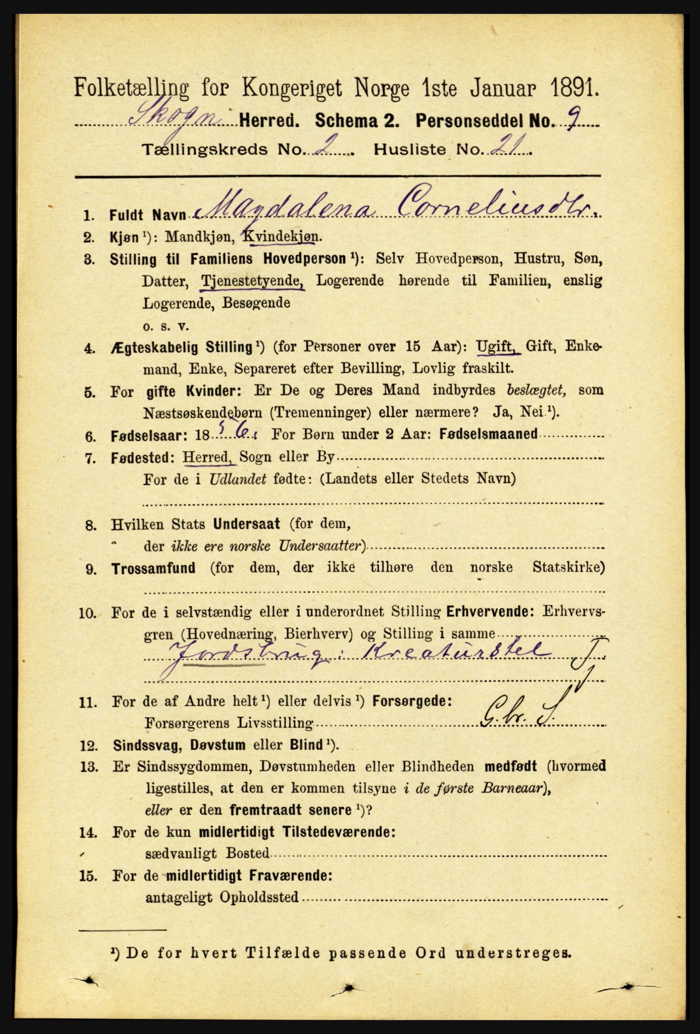 RA, 1891 census for 1719 Skogn, 1891, p. 1096