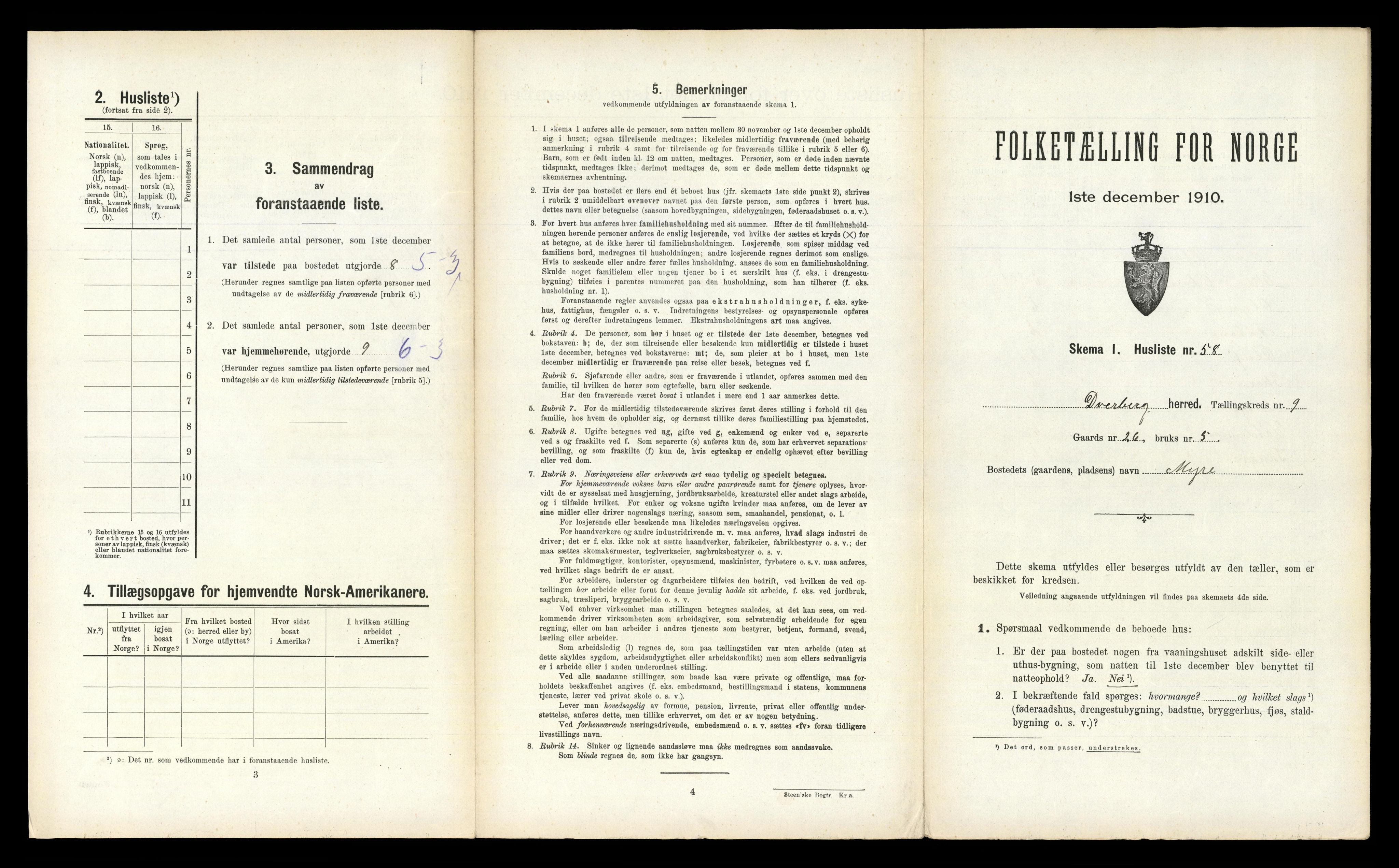 RA, 1910 census for Dverberg, 1910, p. 800