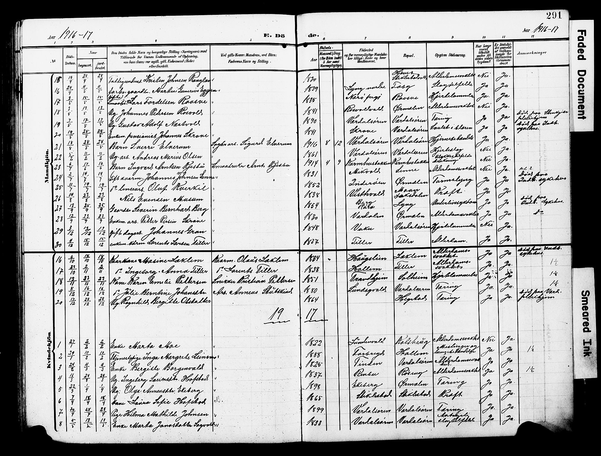 Ministerialprotokoller, klokkerbøker og fødselsregistre - Nord-Trøndelag, SAT/A-1458/723/L0258: Parish register (copy) no. 723C06, 1908-1927, p. 291