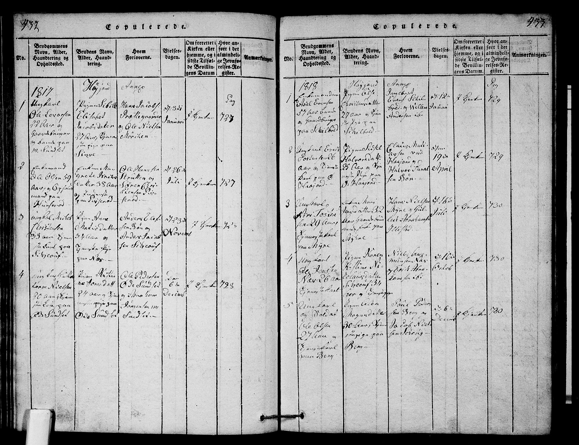 Andebu kirkebøker, AV/SAKO-A-336/G/Ga/L0001: Parish register (copy) no. I 1 /2, 1815-1823, p. 432-433