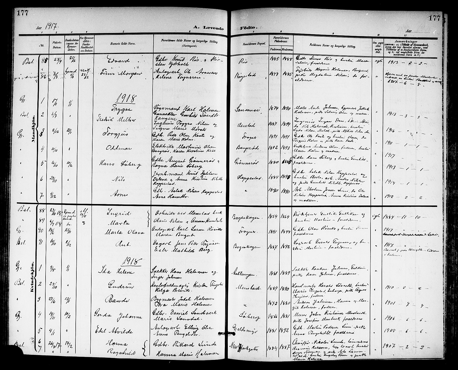 Gjerpen kirkebøker, SAKO/A-265/G/Ga/L0003: Parish register (copy) no. I 3, 1901-1919, p. 177