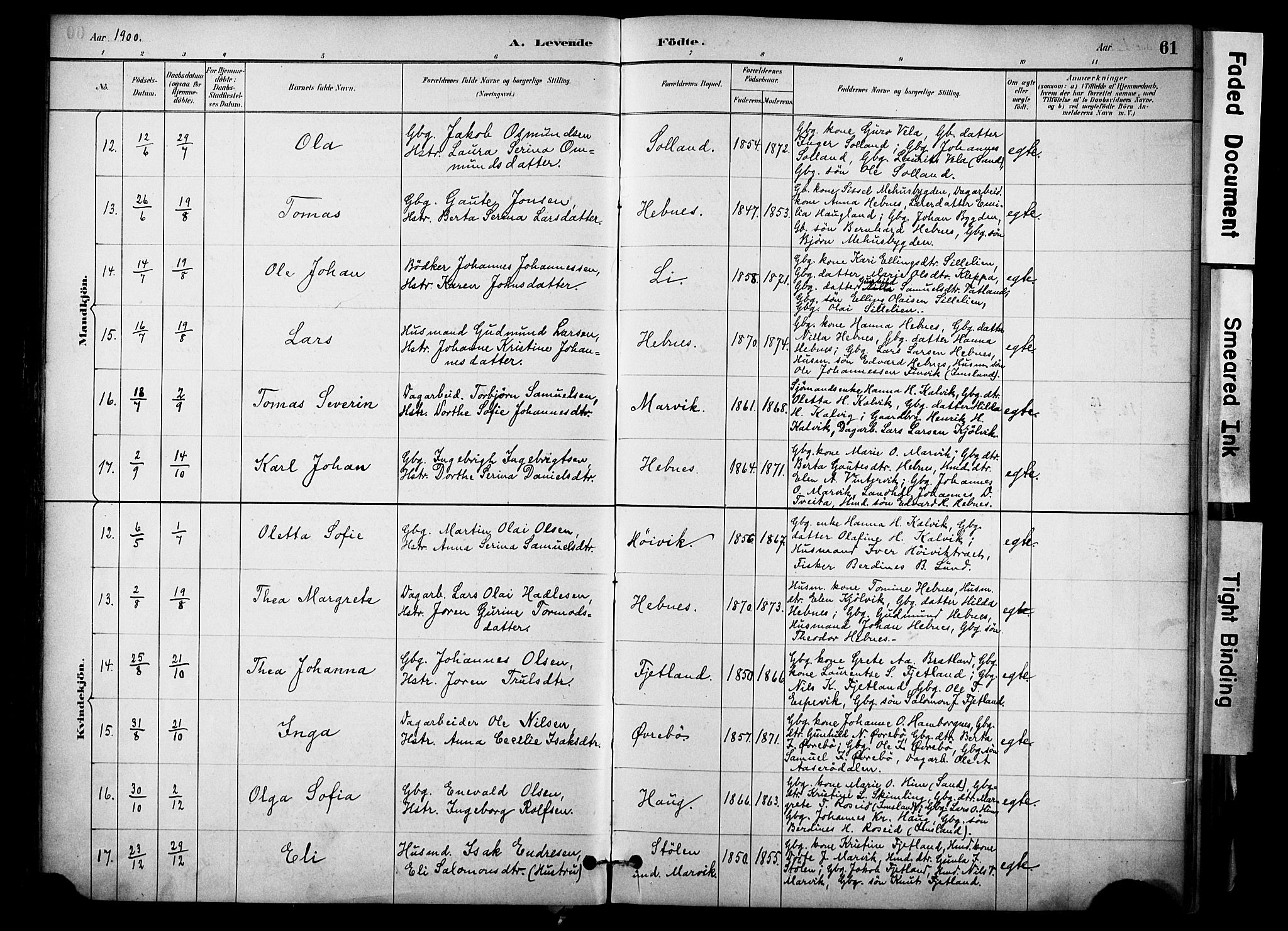 Jelsa sokneprestkontor, SAST/A-101842/01/IV: Parish register (official) no. A 10, 1884-1906, p. 61