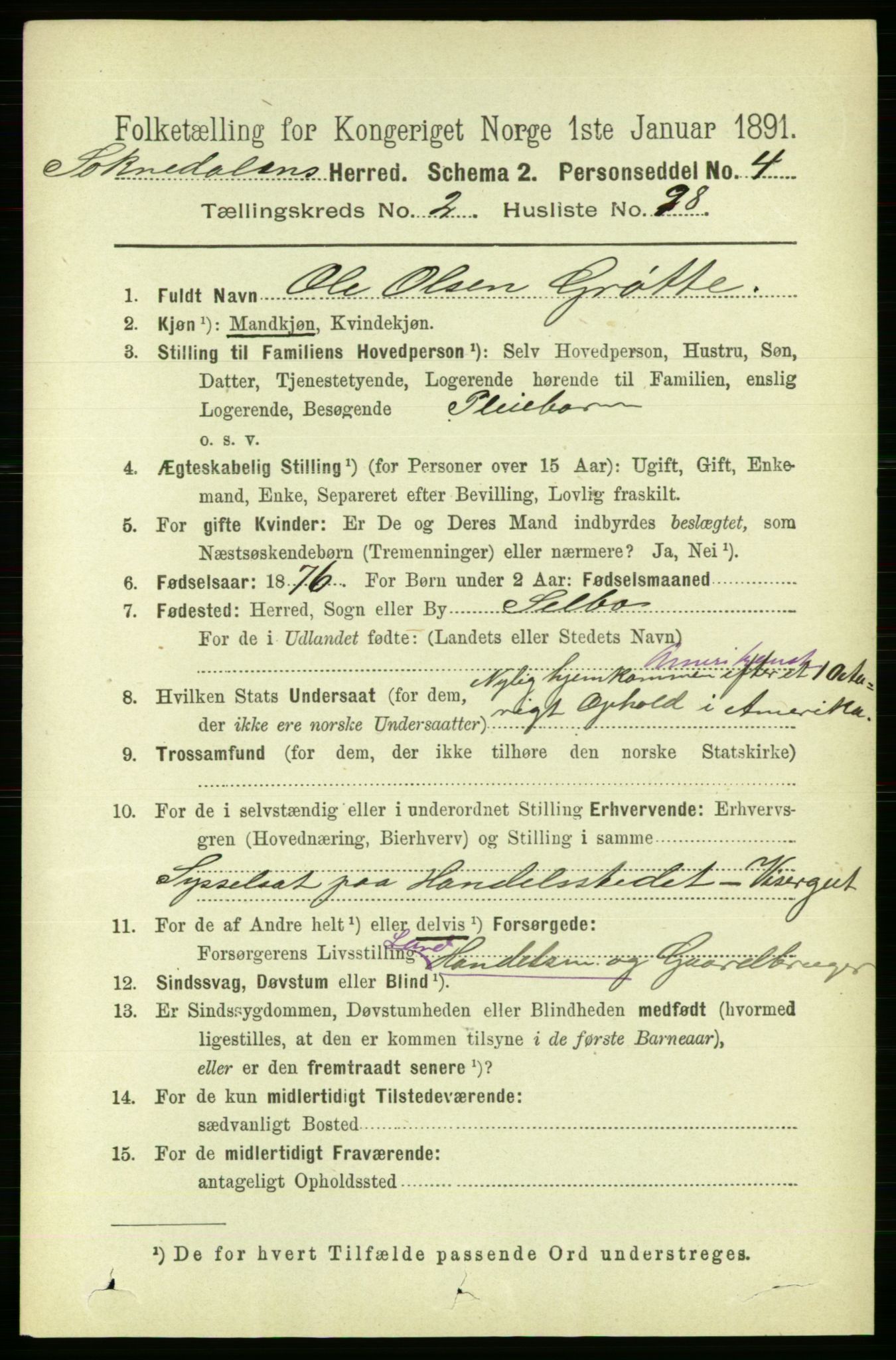 RA, 1891 census for 1649 Soknedal, 1891, p. 1088