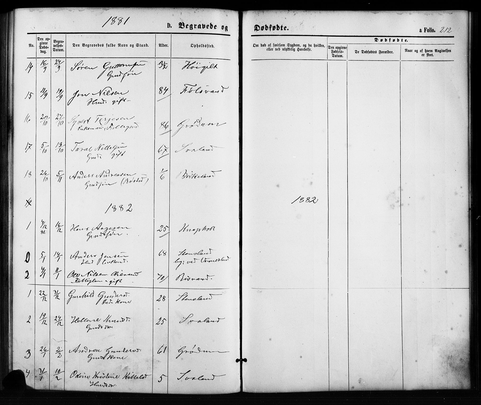 Birkenes sokneprestkontor, AV/SAK-1111-0004/F/Fb/L0003: Parish register (copy) no. B 3, 1876-1892, p. 212