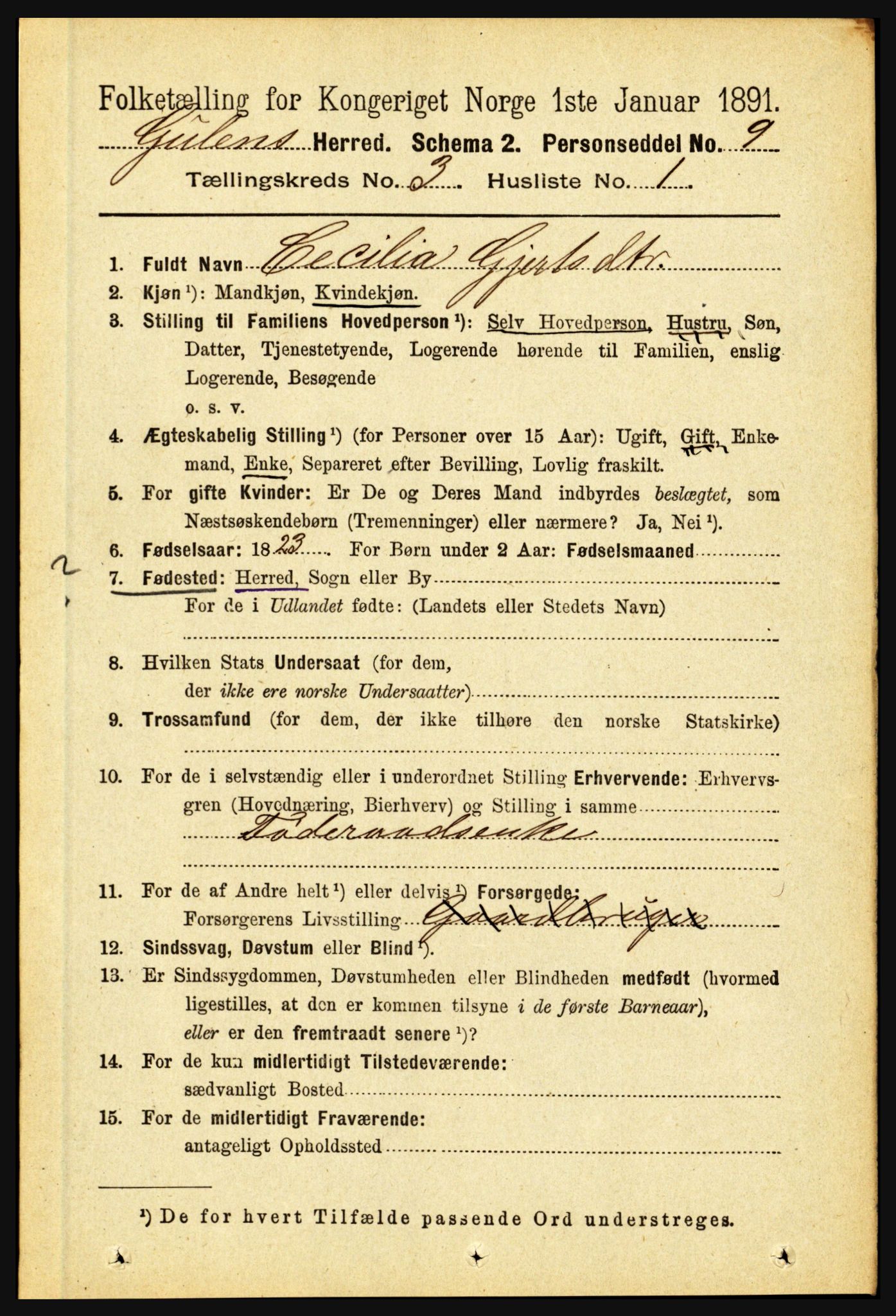 RA, 1891 census for 1411 Gulen, 1891, p. 888