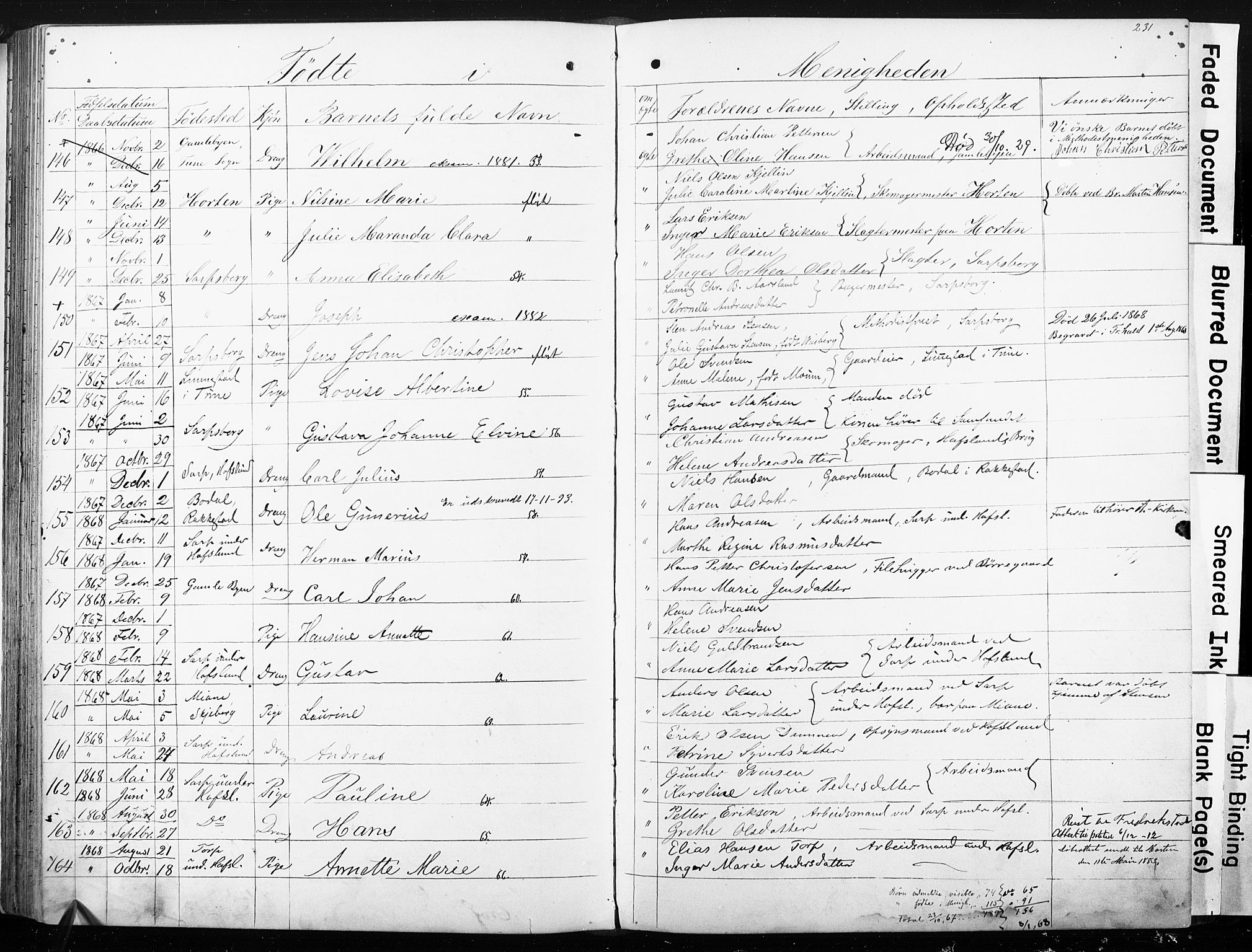 Sarpsborg metodistkirke, SAO/PAO-0233/A/L0001: Dissenter register no. 1, 1856-1875, p. 231