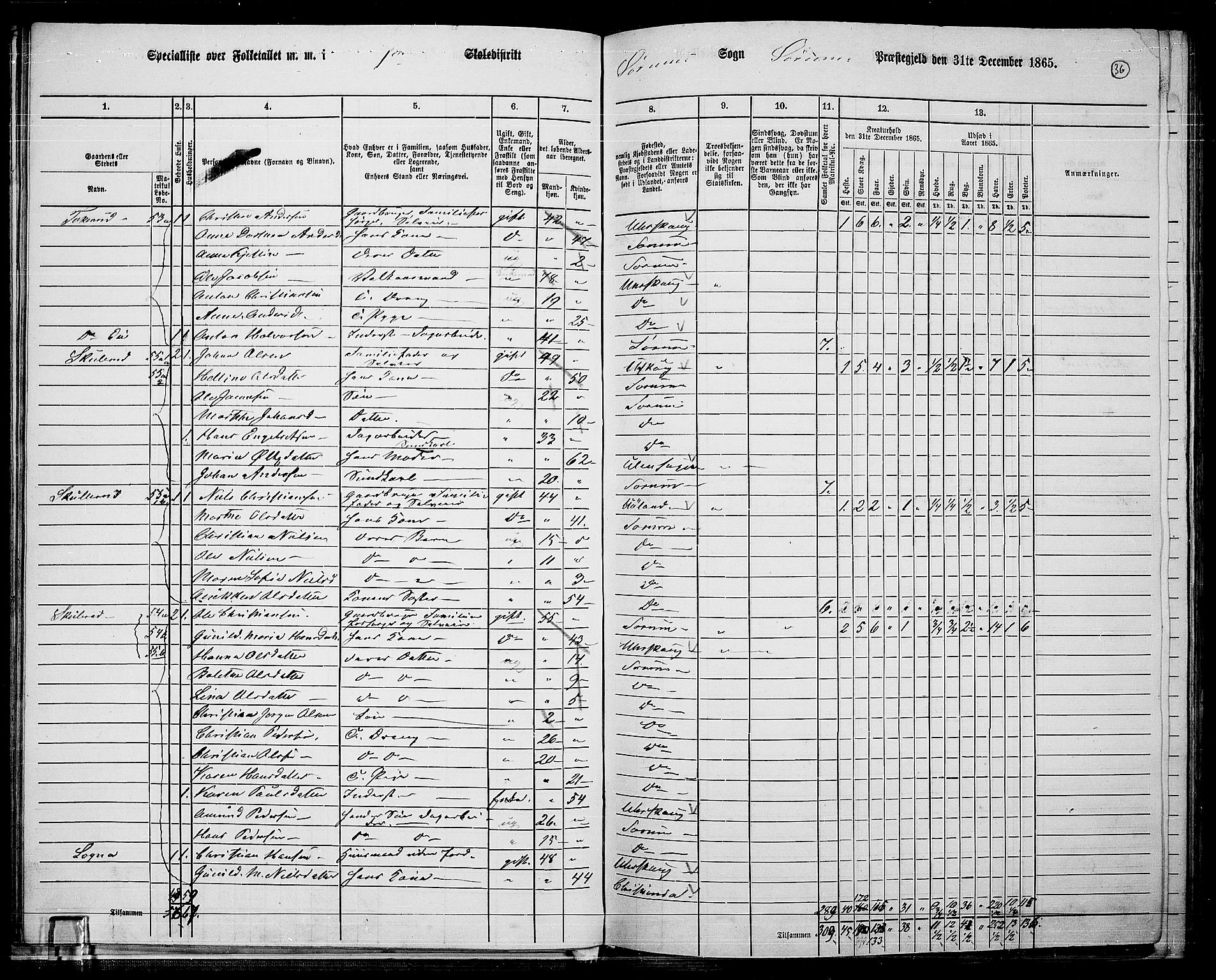 RA, 1865 census for Sørum, 1865, p. 34