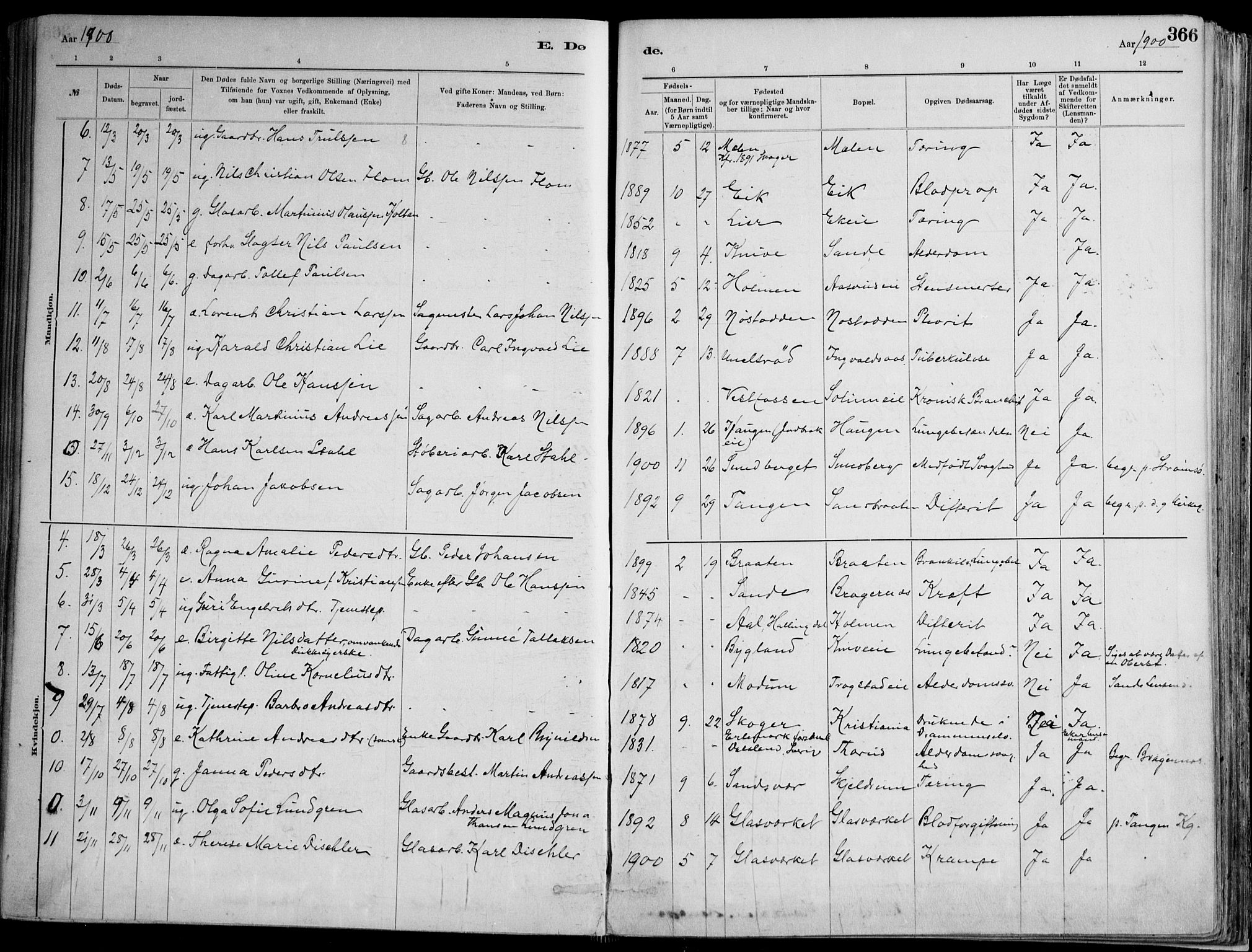 Skoger kirkebøker, SAKO/A-59/F/Fa/L0006: Parish register (official) no. I 6, 1885-1910, p. 366