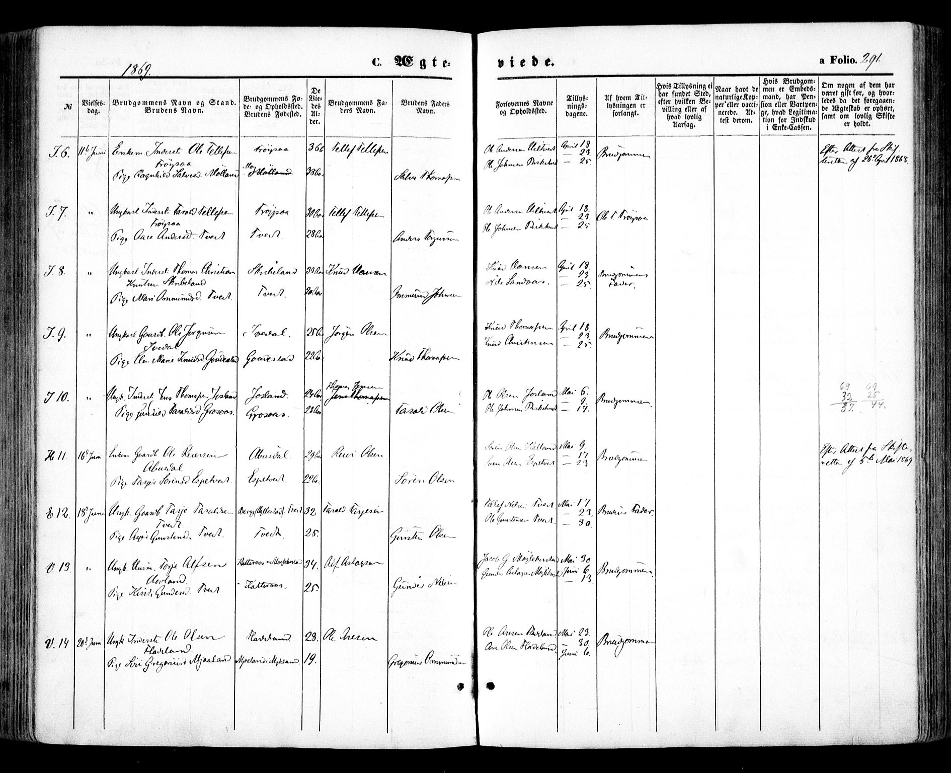 Evje sokneprestkontor, AV/SAK-1111-0008/F/Fa/Faa/L0006: Parish register (official) no. A 6, 1866-1884, p. 291