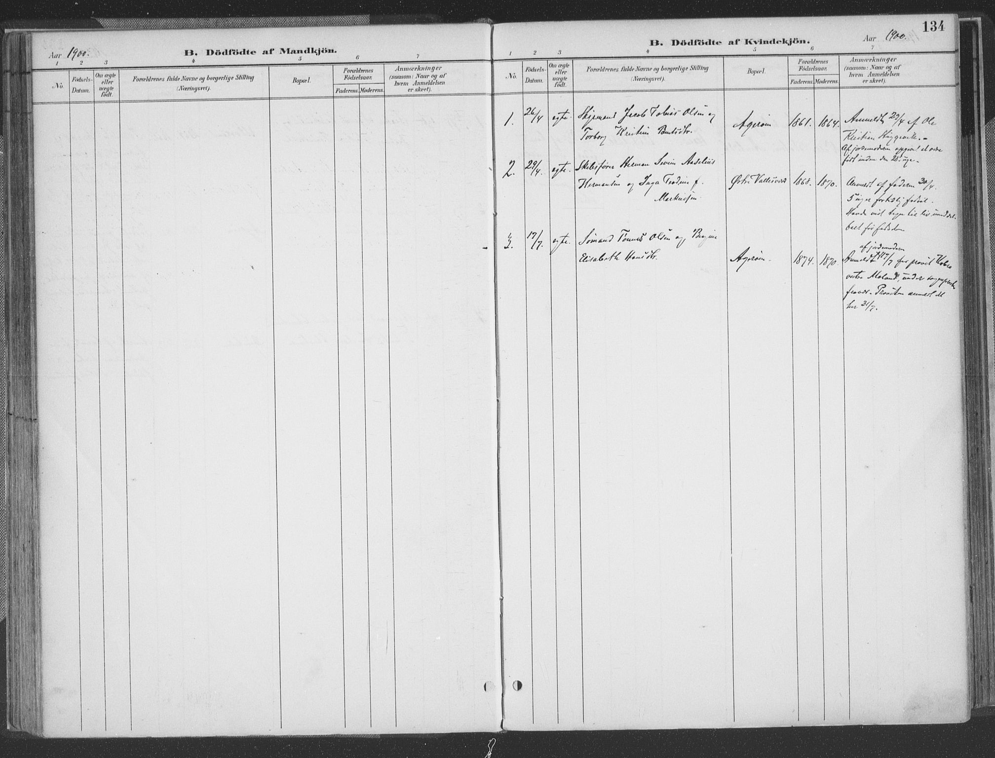 Høvåg sokneprestkontor, SAK/1111-0025/F/Fa/L0006: Parish register (official) no. A 6, 1894-1923, p. 134