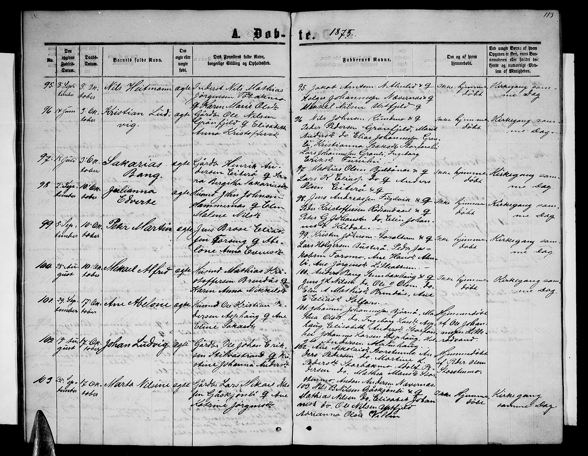 Ministerialprotokoller, klokkerbøker og fødselsregistre - Nordland, SAT/A-1459/827/L0415: Parish register (copy) no. 827C04, 1864-1886, p. 113