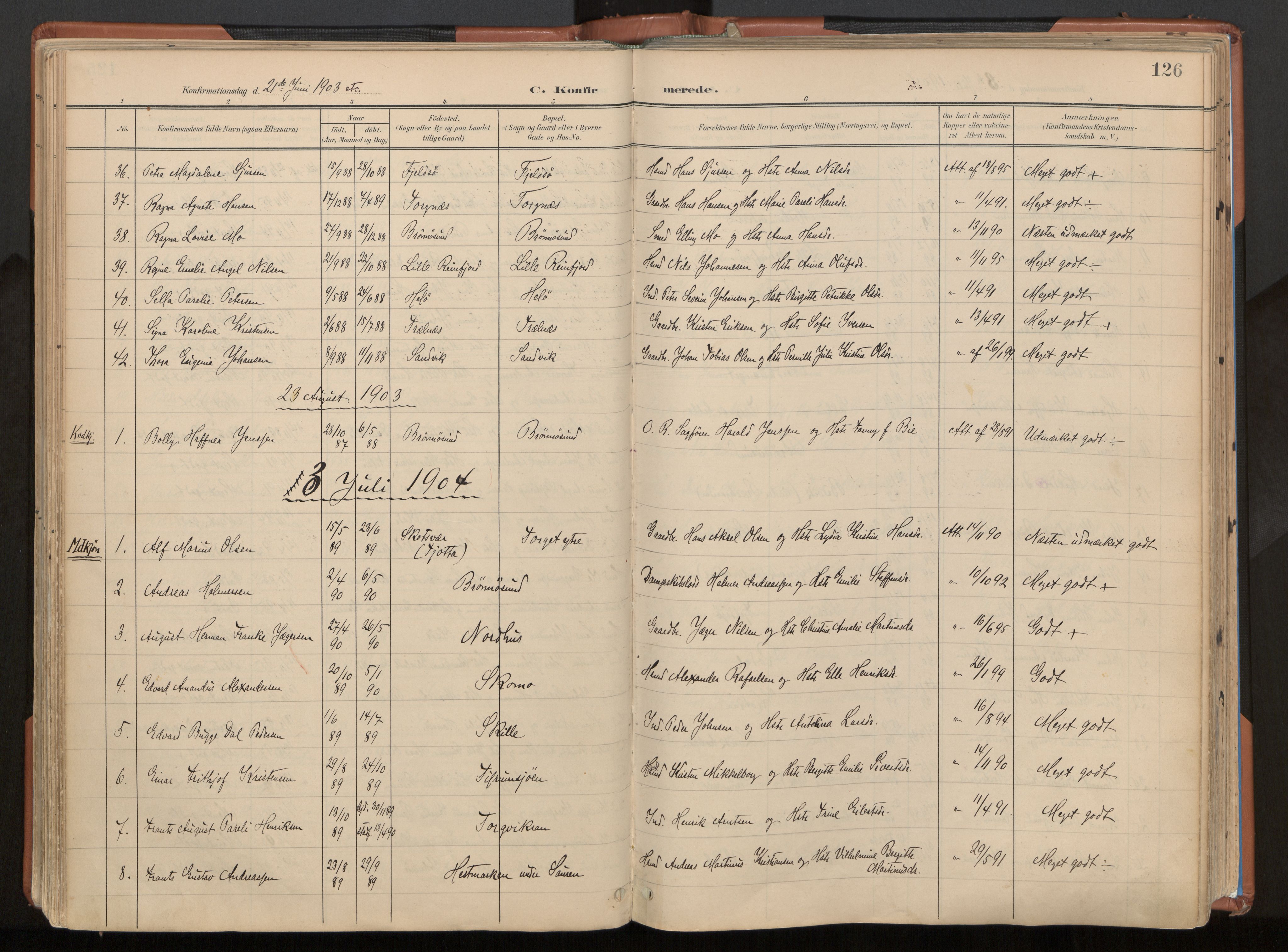 Ministerialprotokoller, klokkerbøker og fødselsregistre - Nordland, SAT/A-1459/813/L0201: Parish register (official) no. 813A11, 1901-1918, p. 126