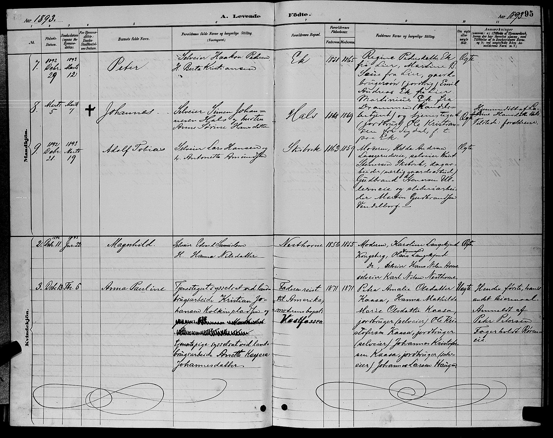 Eiker kirkebøker, AV/SAKO-A-4/G/Ga/L0006: Parish register (copy) no. I 6, 1885-1893, p. 95