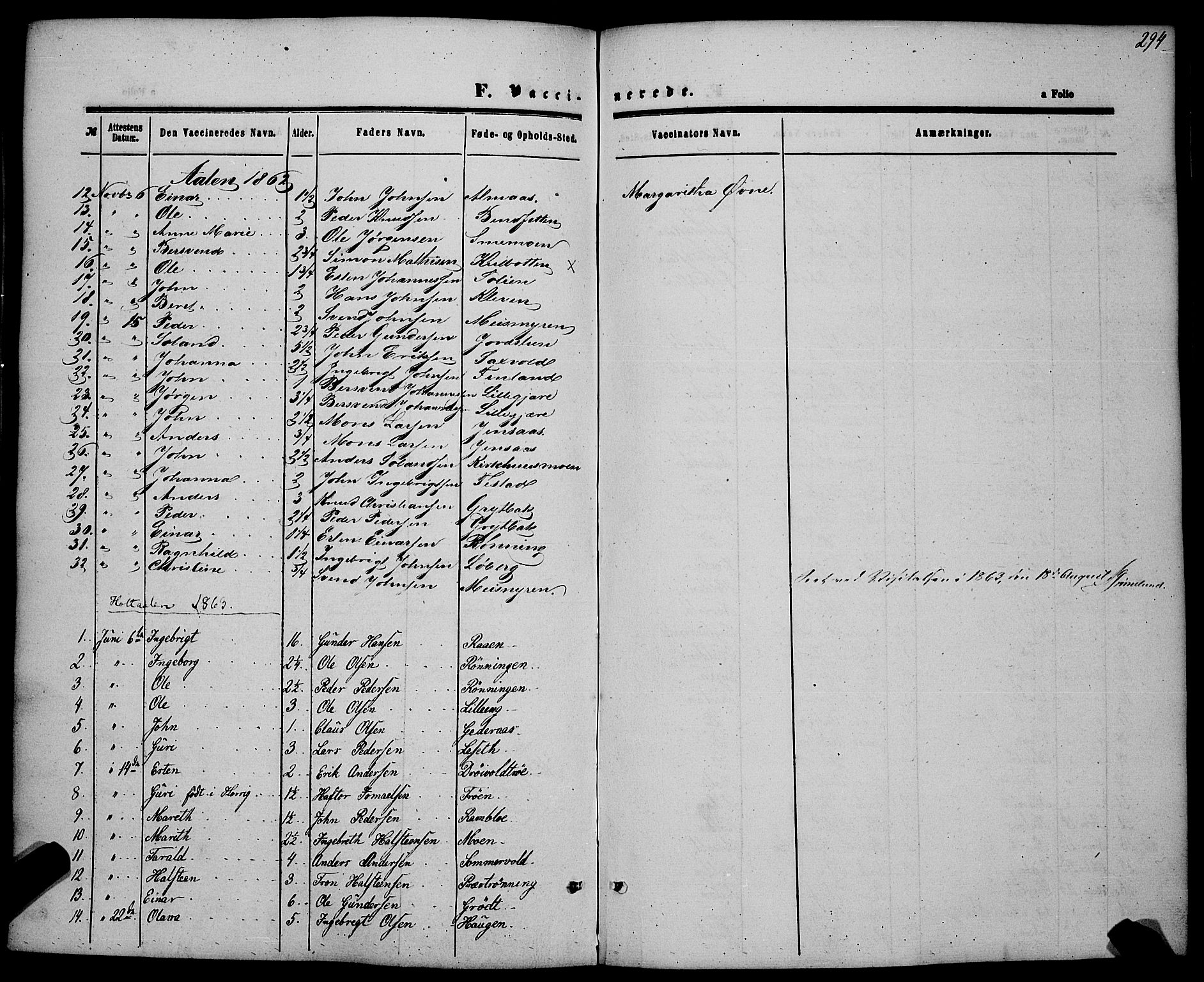 Ministerialprotokoller, klokkerbøker og fødselsregistre - Sør-Trøndelag, AV/SAT-A-1456/685/L0966: Parish register (official) no. 685A07 /1, 1860-1869, p. 294