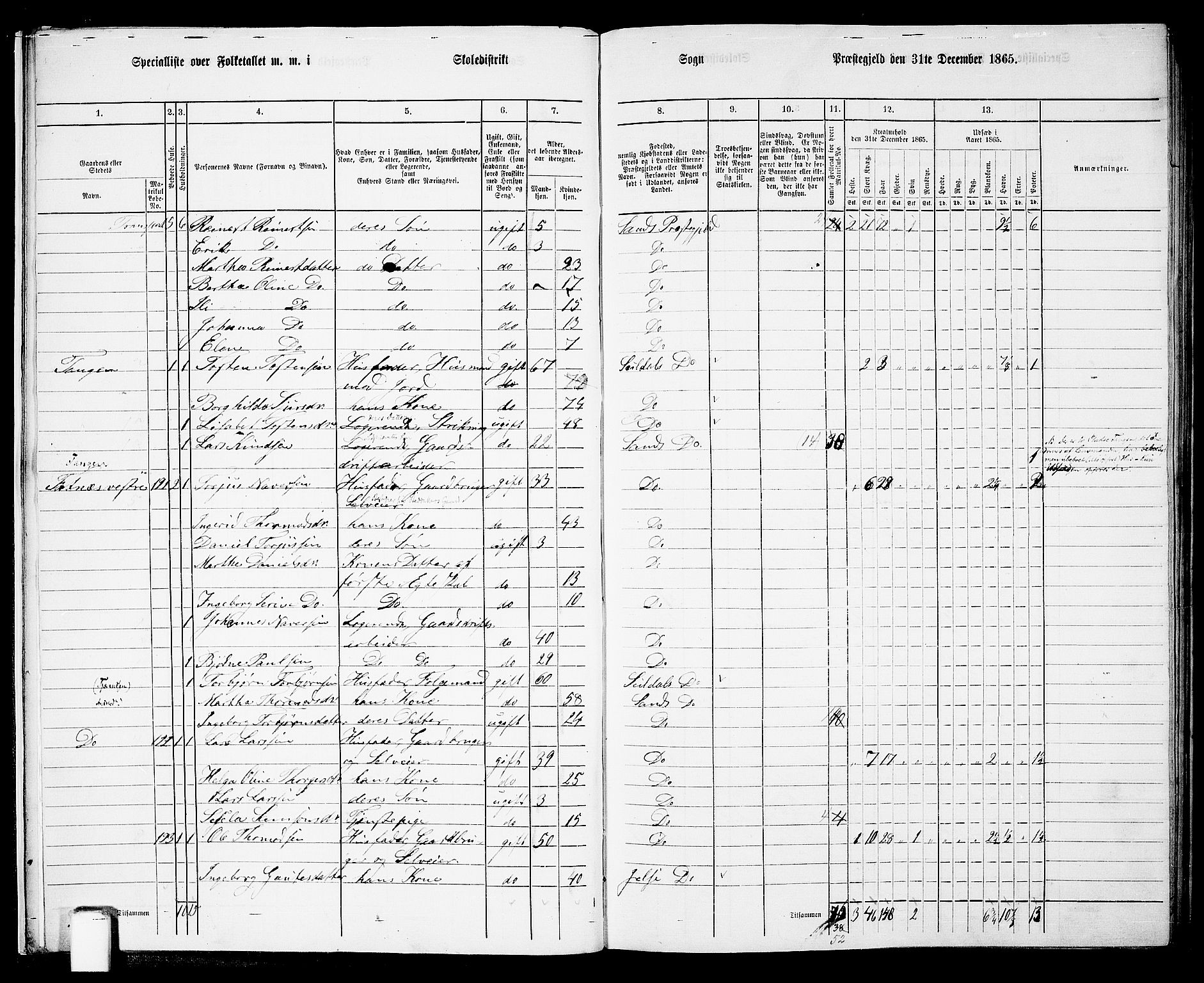 RA, 1865 census for Sand, 1865, p. 12