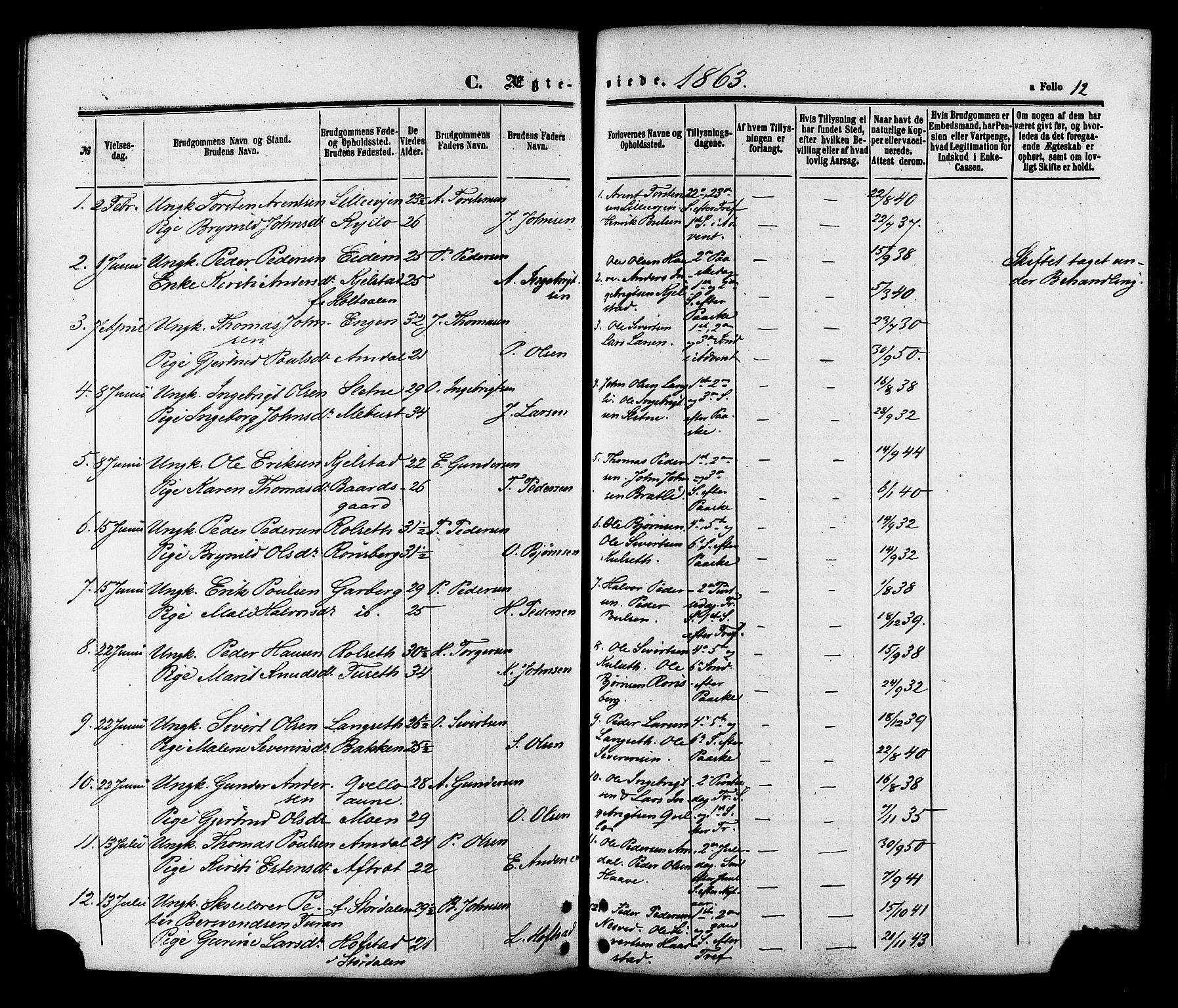 Ministerialprotokoller, klokkerbøker og fødselsregistre - Sør-Trøndelag, SAT/A-1456/695/L1147: Parish register (official) no. 695A07, 1860-1877, p. 12