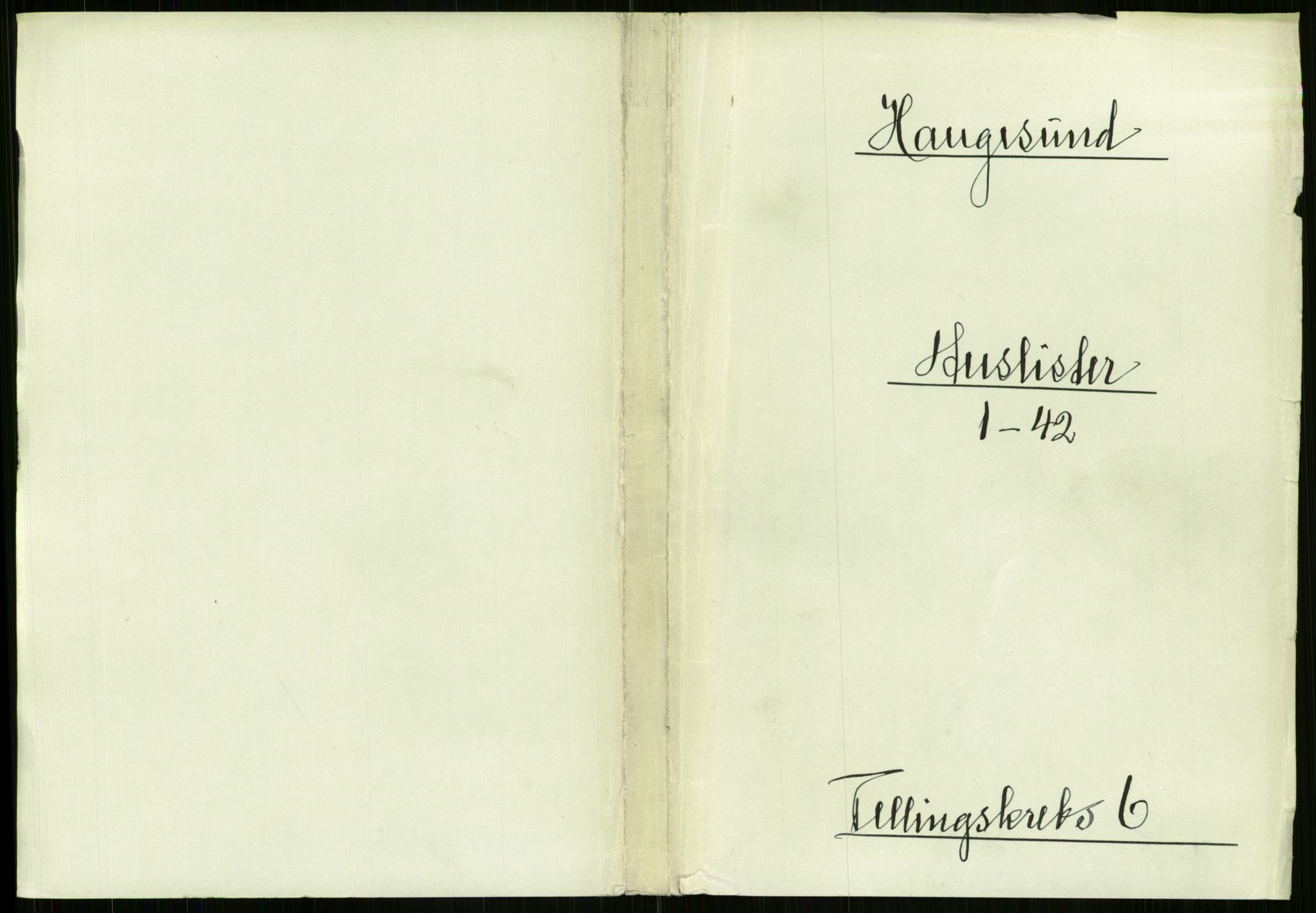 RA, 1891 census for 1106 Haugesund, 1891, p. 383