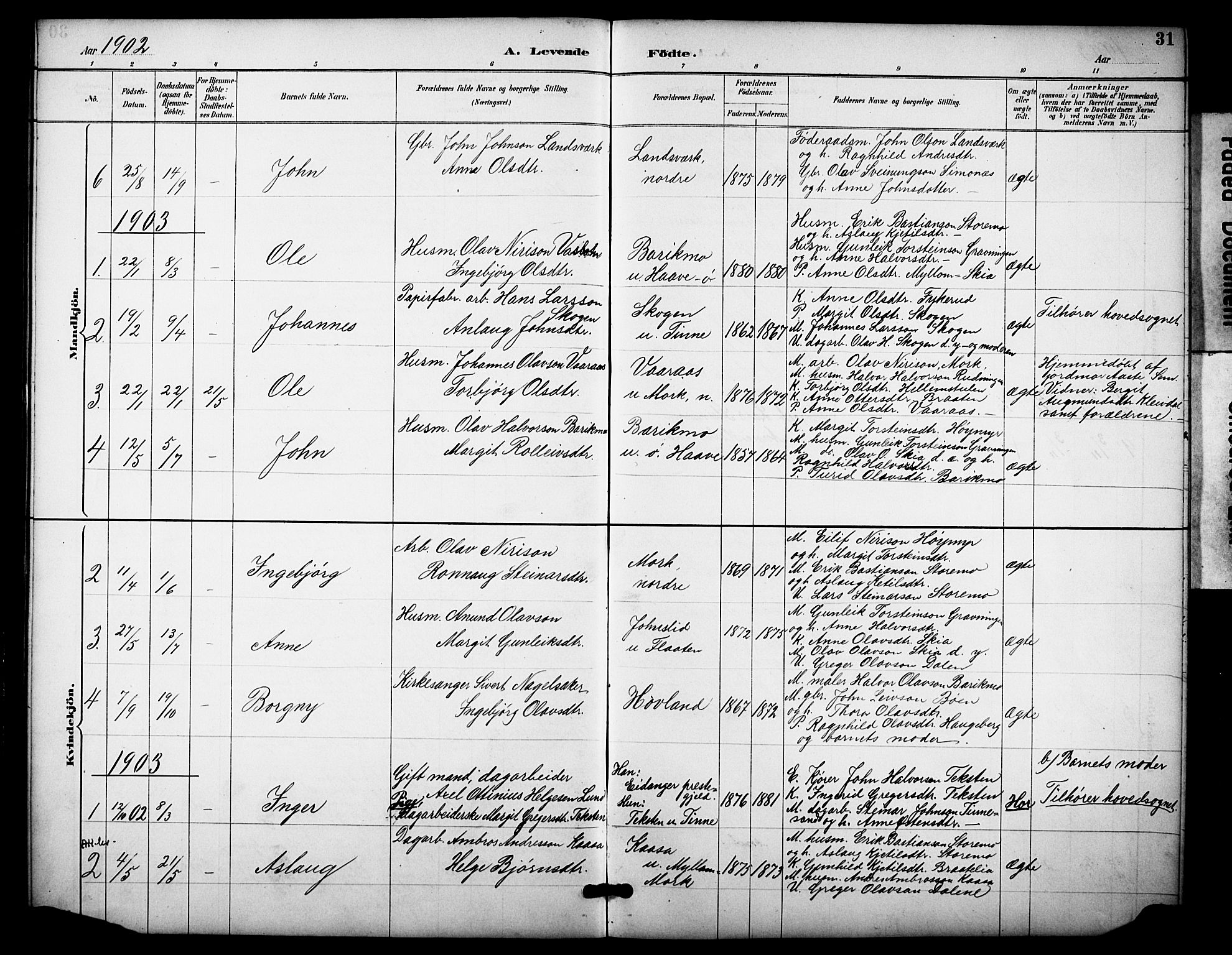 Heddal kirkebøker, SAKO/A-268/F/Fb/L0001: Parish register (official) no. II 1, 1884-1910, p. 31