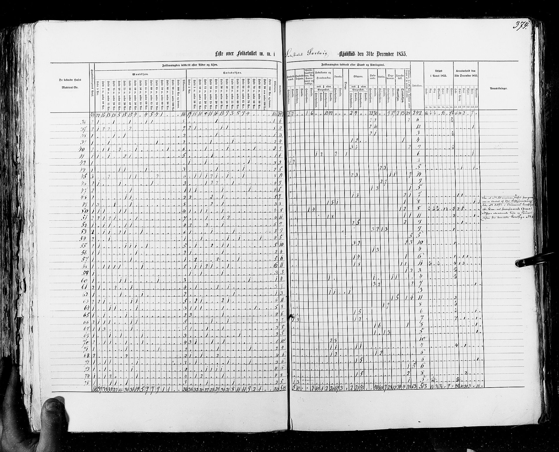 RA, Census 1855, vol. 7: Fredrikshald-Kragerø, 1855, p. 374