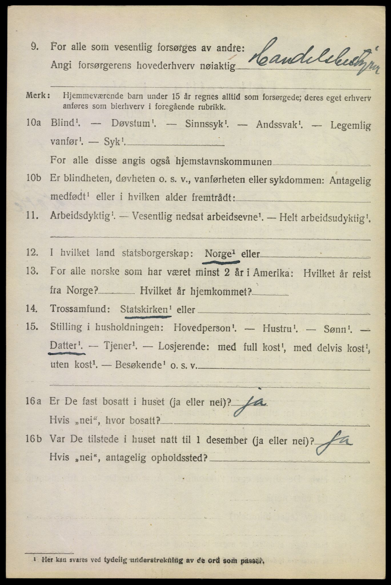 SAKO, 1920 census for Rauland, 1920, p. 1007