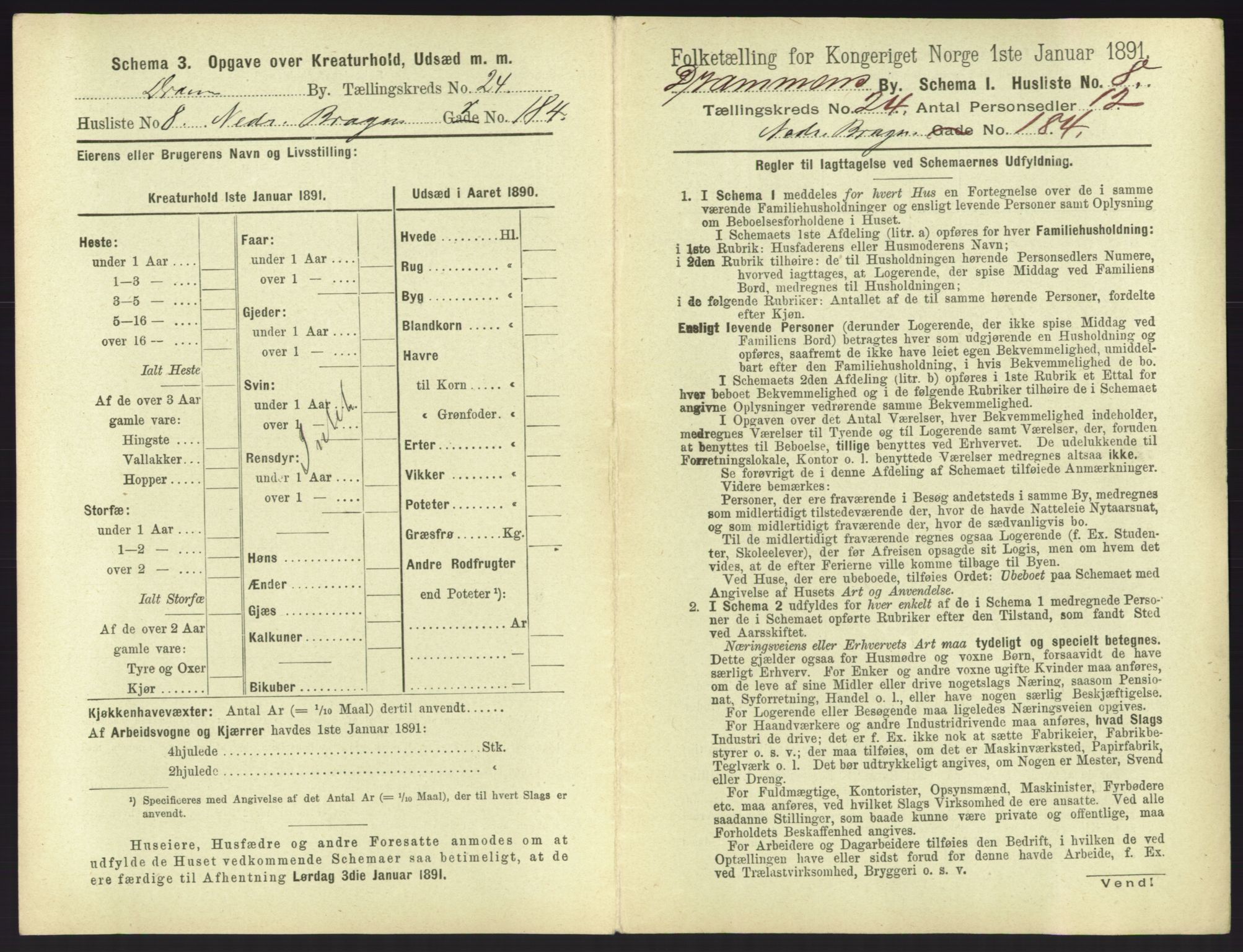 RA, 1891 census for 0602 Drammen, 1891, p. 2009