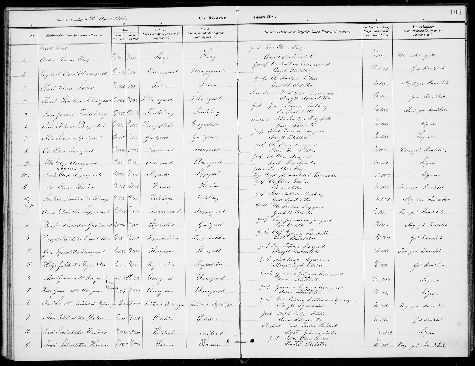 Ål kirkebøker, AV/SAKO-A-249/F/Fa/L0009: Parish register (official) no. I 9, 1897-1915, p. 101