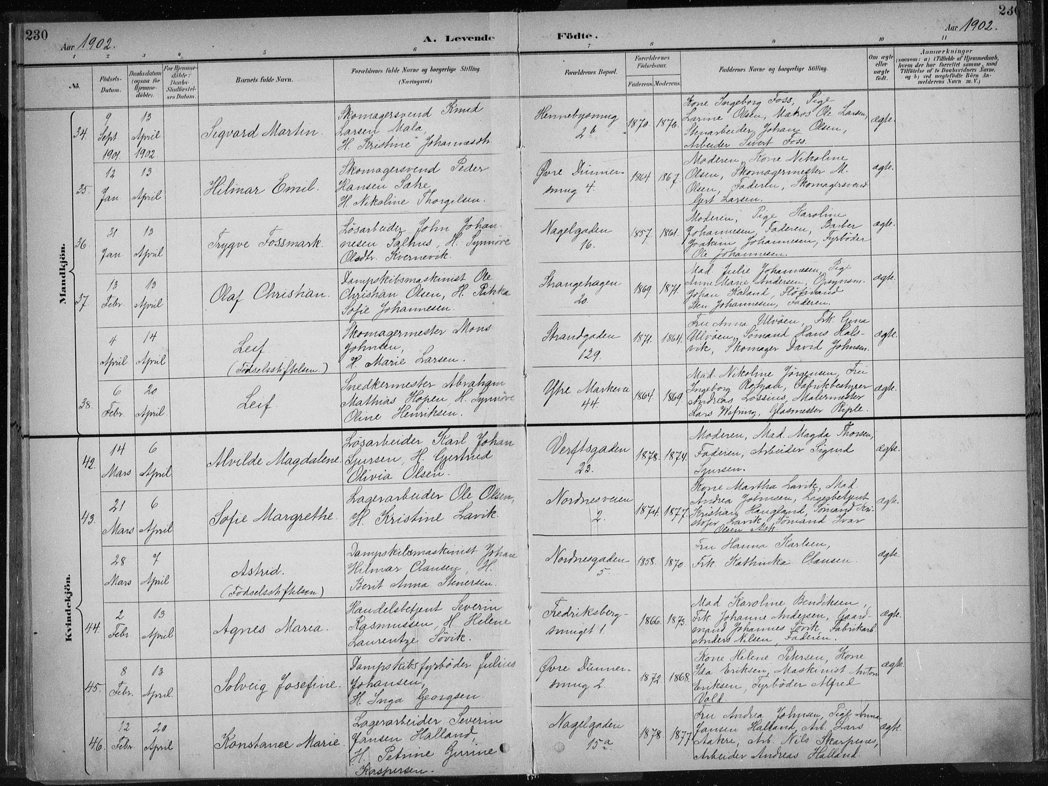 Nykirken Sokneprestembete, AV/SAB-A-77101/H/Haa/L0018: Parish register (official) no. B 6, 1895-1903, p. 230