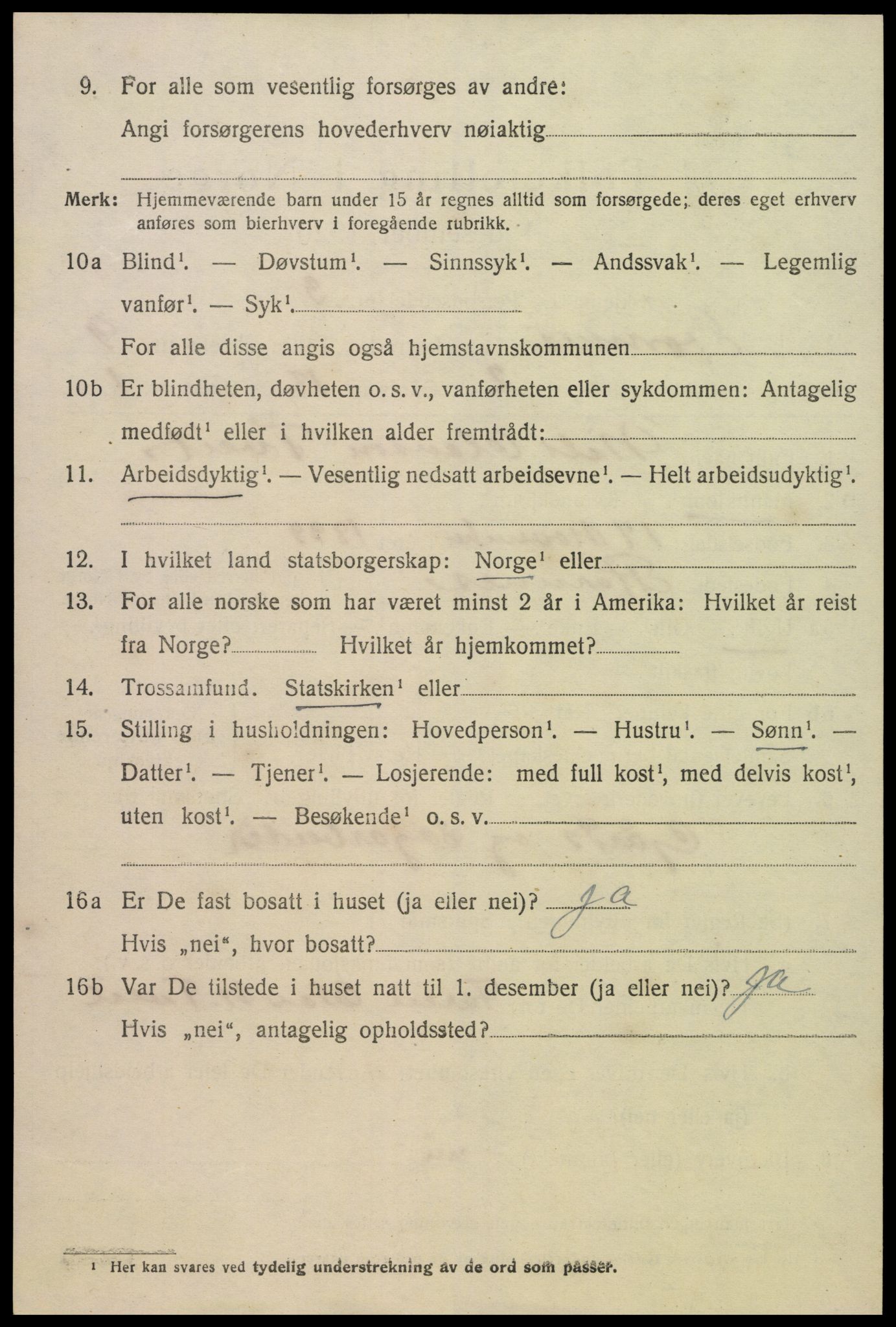 SAK, 1920 census for Hornnes, 1920, p. 2206