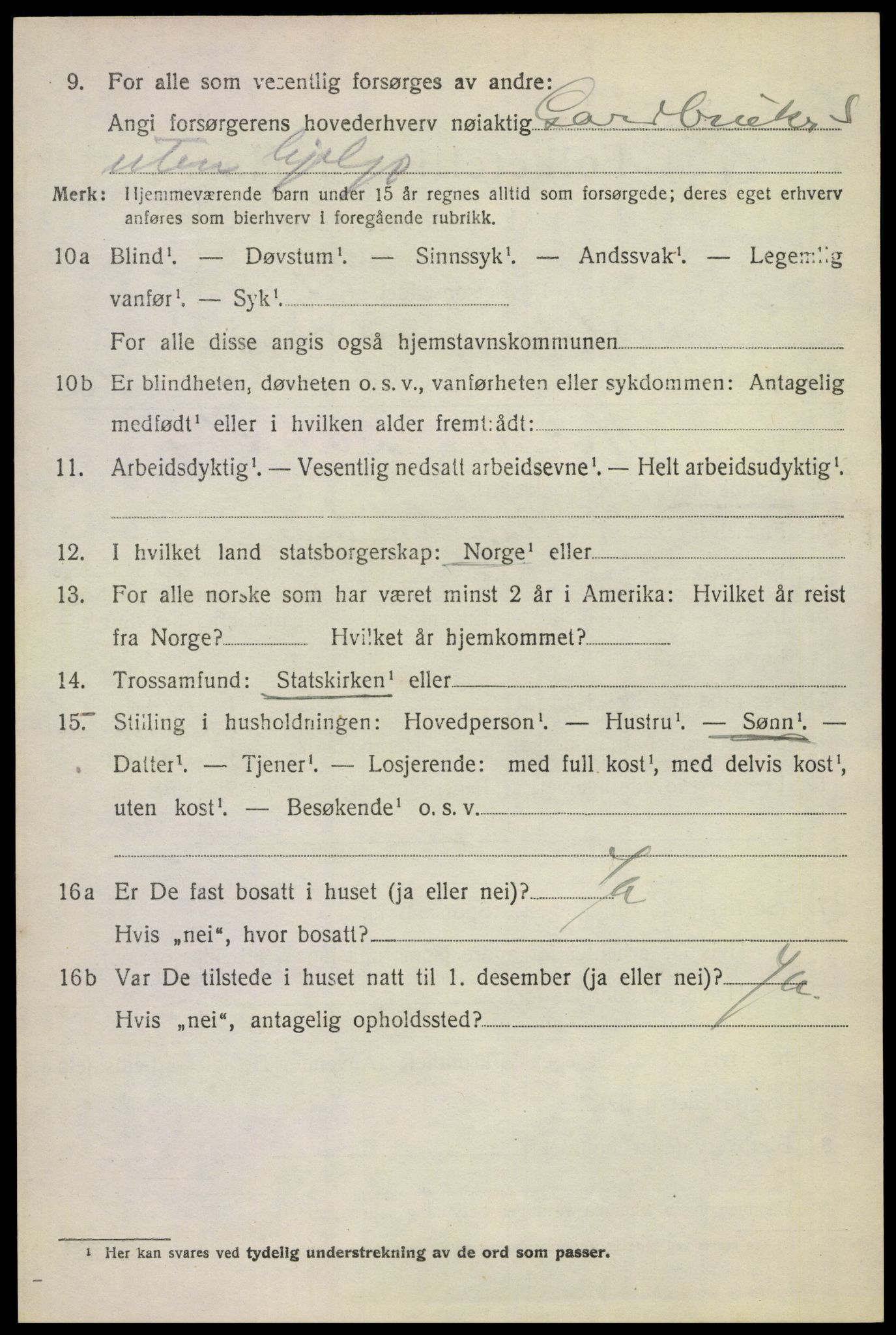 SAKO, 1920 census for Solum, 1920, p. 13161