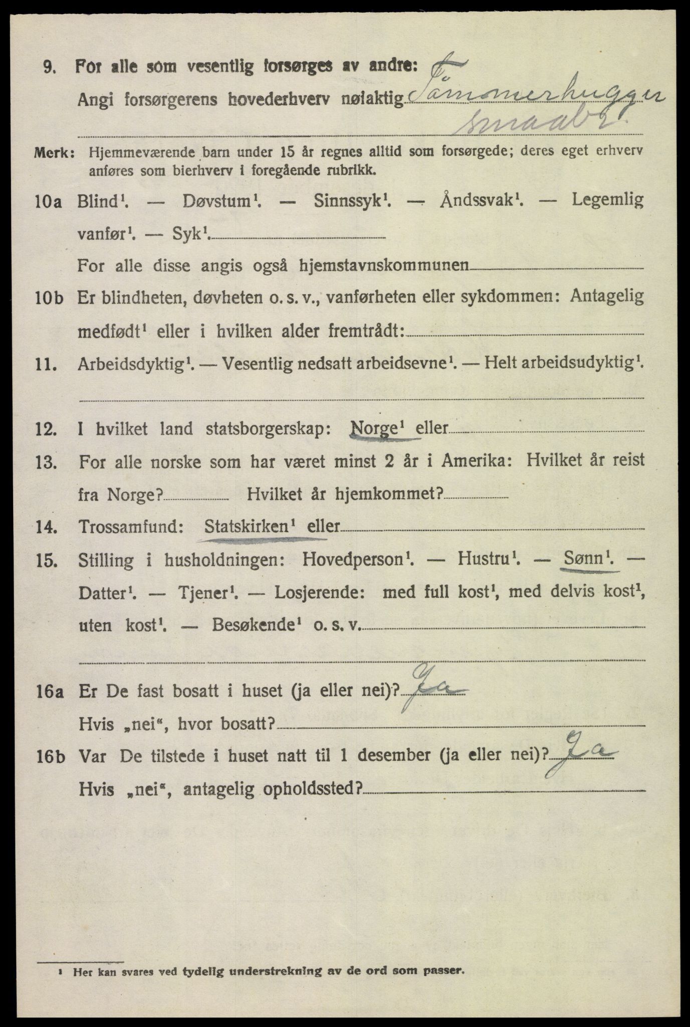 SAH, 1920 census for Snertingdal, 1920, p. 4686