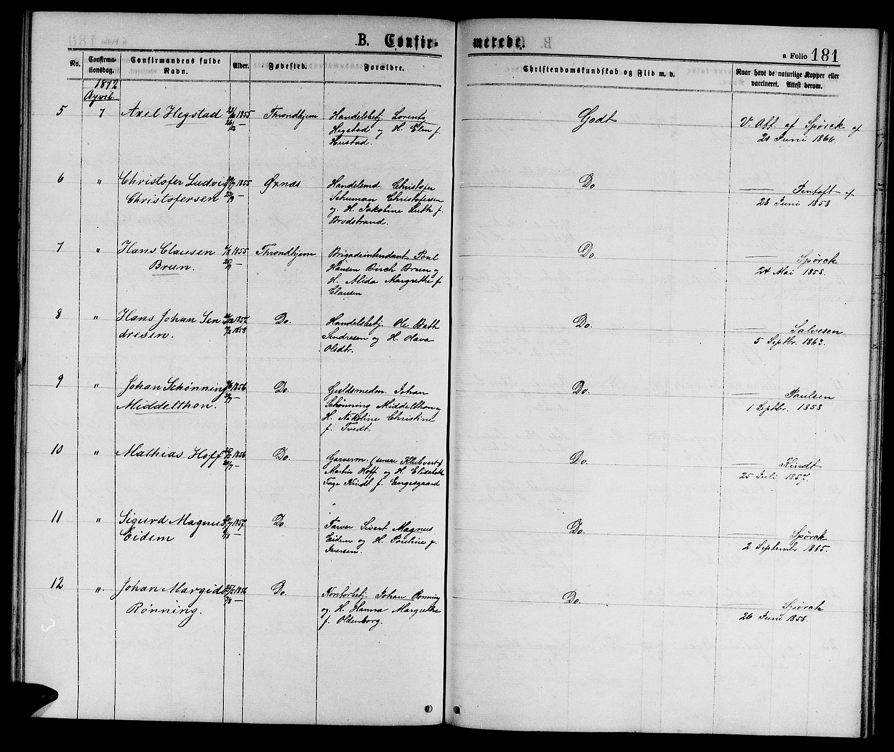Ministerialprotokoller, klokkerbøker og fødselsregistre - Sør-Trøndelag, SAT/A-1456/601/L0088: Parish register (copy) no. 601C06, 1870-1878, p. 181