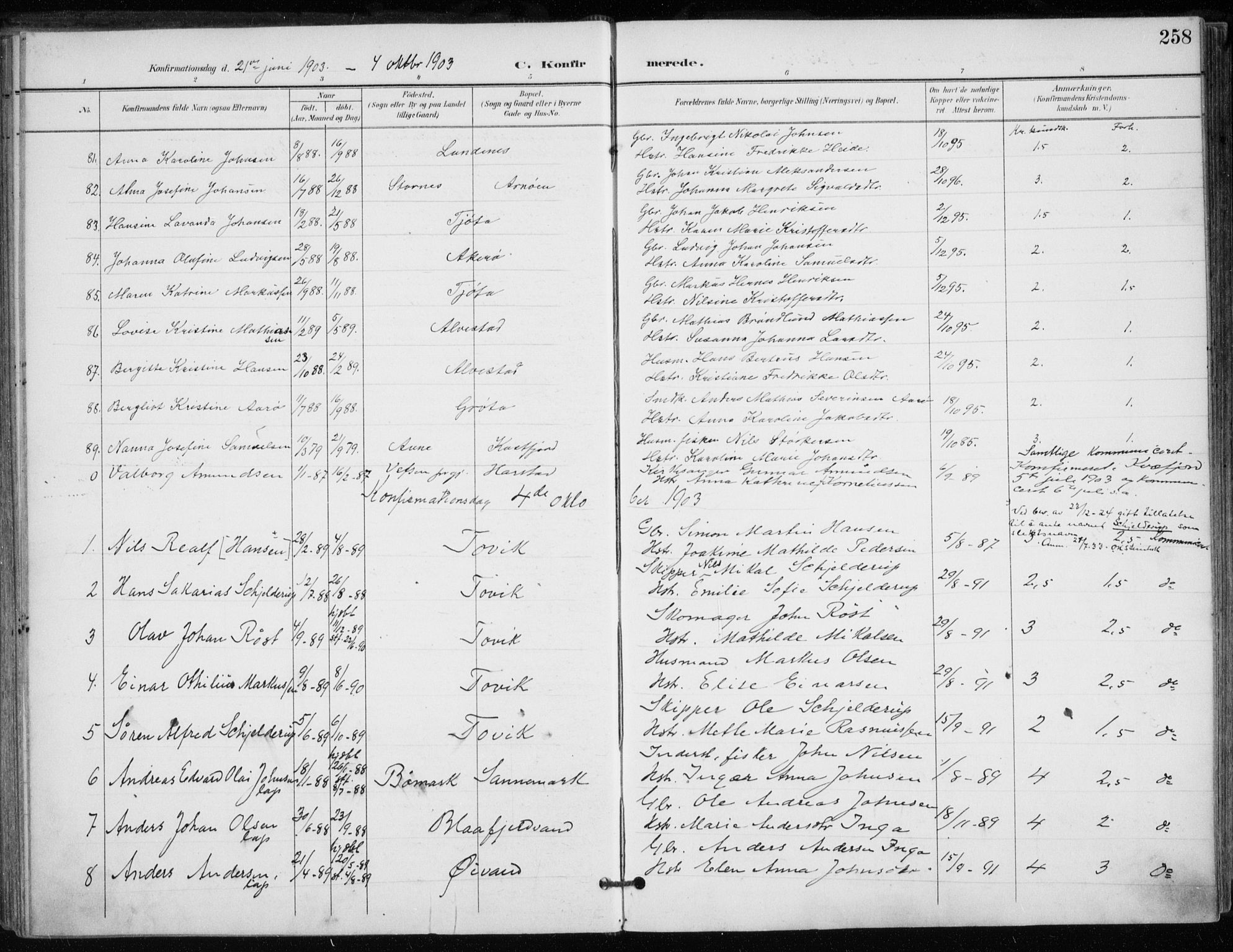 Trondenes sokneprestkontor, SATØ/S-1319/H/Ha/L0017kirke: Parish register (official) no. 17, 1899-1908, p. 258