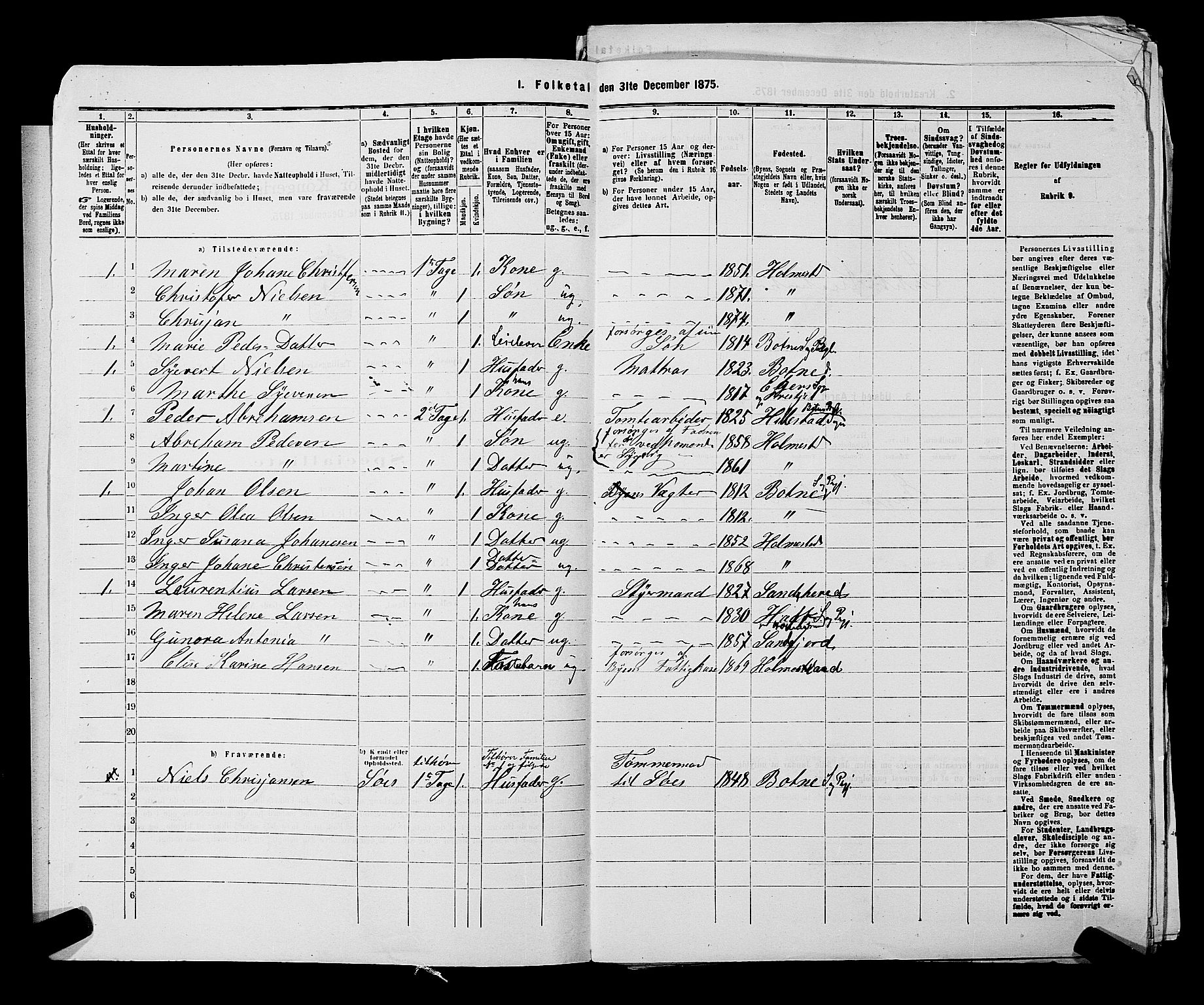 SAKO, 1875 census for 0702P Holmestrand, 1875, p. 117