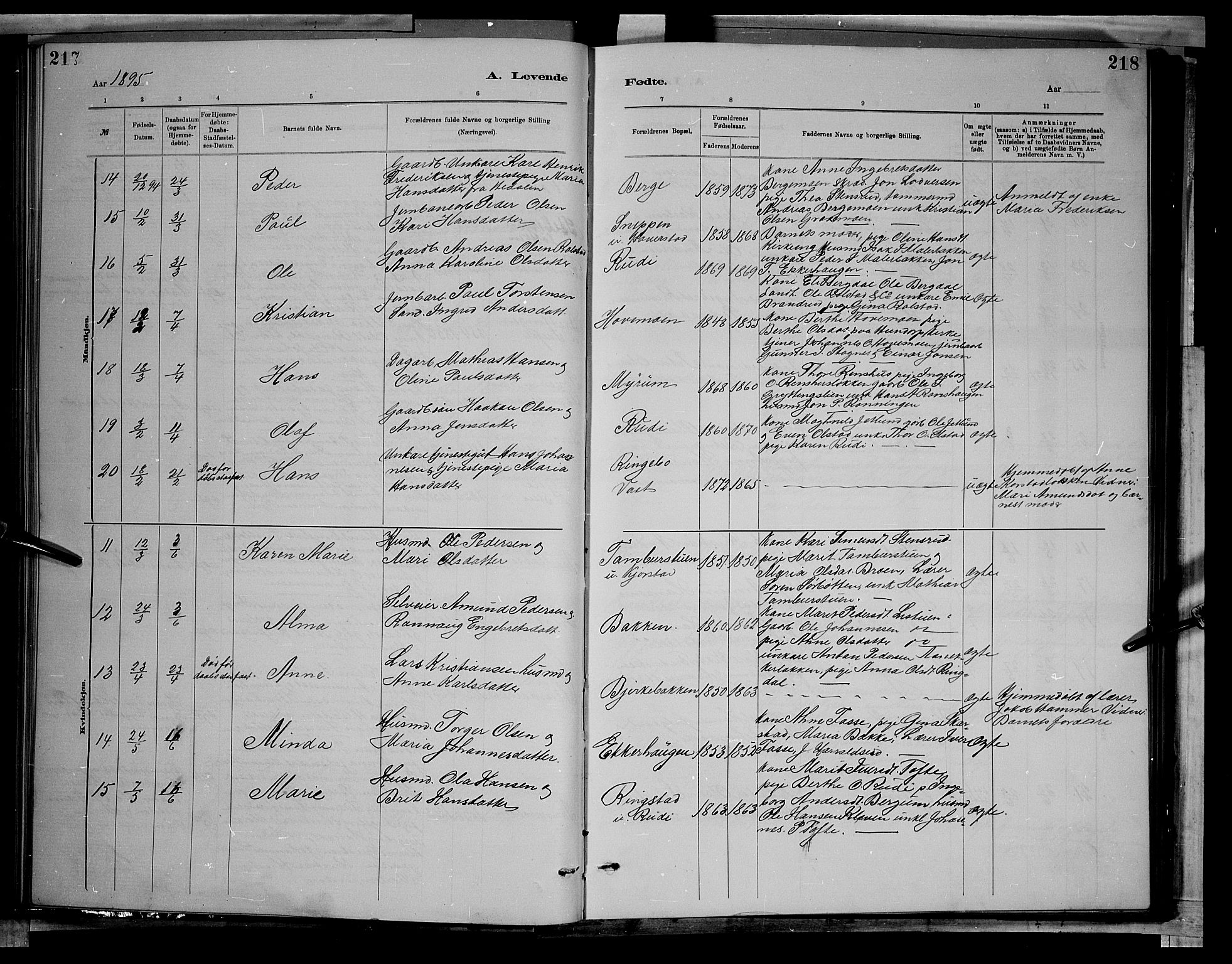 Sør-Fron prestekontor, AV/SAH-PREST-010/H/Ha/Hab/L0003: Parish register (copy) no. 3, 1884-1896, p. 217-218